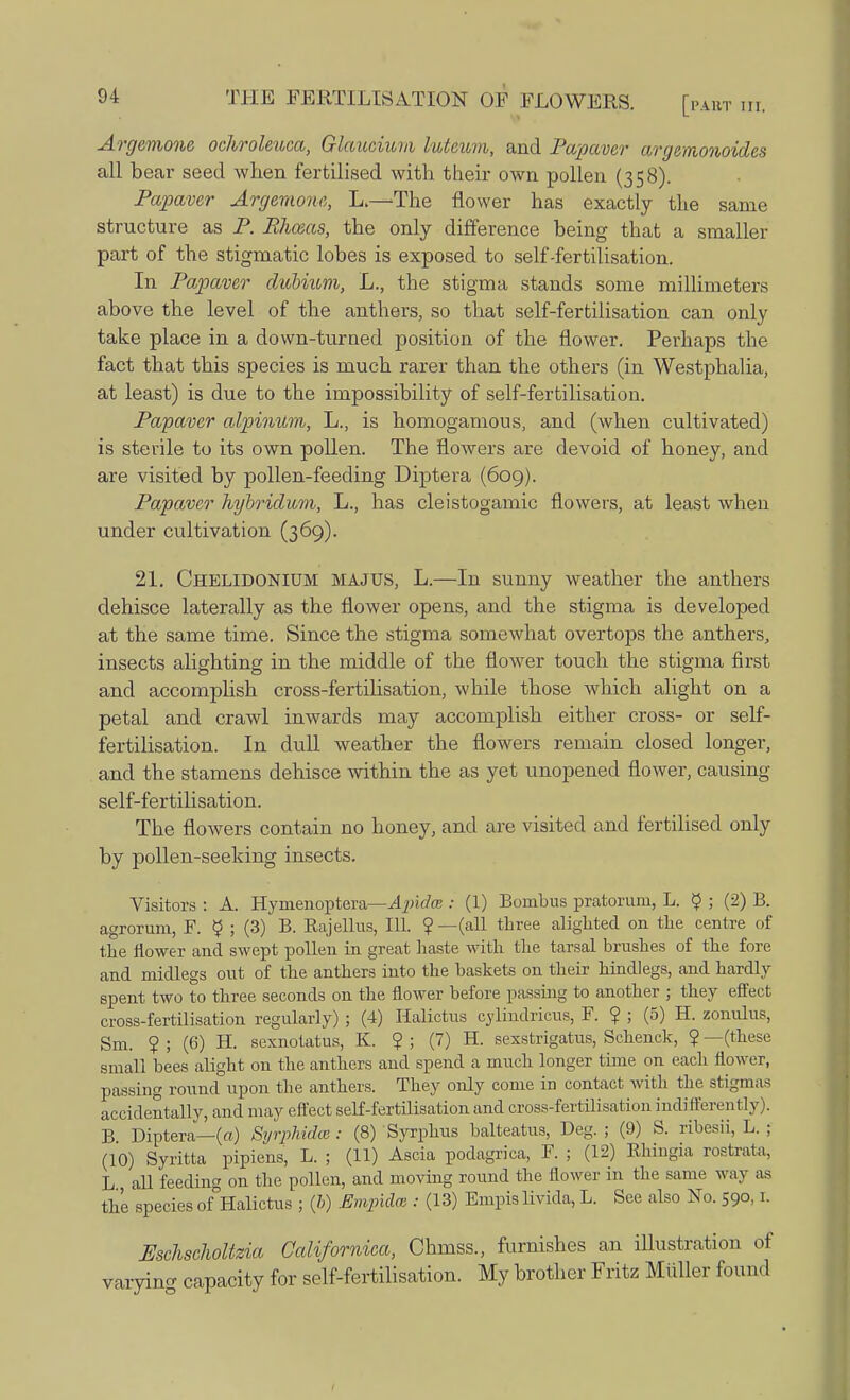 Argemone ochroleuca, Glaucium lutcum, and Papaver argemonoides all bear seed when fertilised with their own pollen (358). Papaver Argemone, L.—The flower has exactly the same structure as P. Rhceas, the only difference being that a smaller part of the stigmatic lobes is exposed to self-fertilisation. In Papaver dubiiom, L., the stigma stands some millimeters above the level of the anthers, so that self-fertilisation can only take place in a down-turned position of the flower. Perhaps the fact that this species is much rarer than the others (in Westphalia, at least) is due to the impossibility of self-fertilisation. Papaver alpinum, L., is homogamous, and (when cultivated) is sterile to its own pollen. The flowers are devoid of honey, and are visited by pollen-feeding Diptera (609). Papaver hybridwm, L., has cleistogamic flowers, at least when under cultivation (369). 21. Chelidonium MAJUS, L.—In sunny weather the anthers dehisce laterally as the flower opens, and the stigma is developed at the same time. Since the stigma somewhat overtops the anthers, insects alighting in the middle of the flower touch the stigma first and accomplish cross-fertilisation, while those which alight on a petal and crawl inwards may accomplish either cross- or self- fertilisation. In dull weather the flowers remain closed longer, and the stamens dehisce within the as yet unopened flower, causing self-fertilisation. The flowers contain no honey, and are visited and fertilised only by pollen-seeking insects. Visitors : A. Hymenoptera—Ajnda : (1) Boinbus pratoruni, L. $ ; (2) B. agrorum, F. $ ; (3) B. Rajellus, 111. ? —(all three alighted on the centre of the flower and swept pollen in great haste with the tarsal brushes of the fore and midlegs out of the anthers into the baskets on their hindlegs, and hardly spent two to three seconds on the flower before passing to another ; they effect cross-fertilisation regularly) ; (4) Halictus cylindricus, F. $ ; (5) H. zonulus, Sm. ? ; (6) H. sexnotatus, K. ? ; (7) H. sexstrigatus, Schenck, ? —(these small bees alight on the anthers and spend a much longer time on each flower, passing round upon the anthers. They only come in contact with the stigmas accidentally, and may effect self-fertilisation and cross-fertilisation indifferently). B Diptera— (a) Syrphidce : (8) Syrphus balteatus, Deg. ; (9) S. ribesii, L. ; (10) Syritta pipiens, L. ; (11) Ascia podagrica, F. ; (12) Rhingia rostral a. L all feeding on the pollen, and moving round the flower in the same way as the species of Halictus ; (/;) EmpkU : (13) Empislivida, L. See also No. 590,1. Uschscholtzia Californica, Chmss., furnishes an illustration of varying capacity for self-fertilisation. My brother Fritz Miiller found