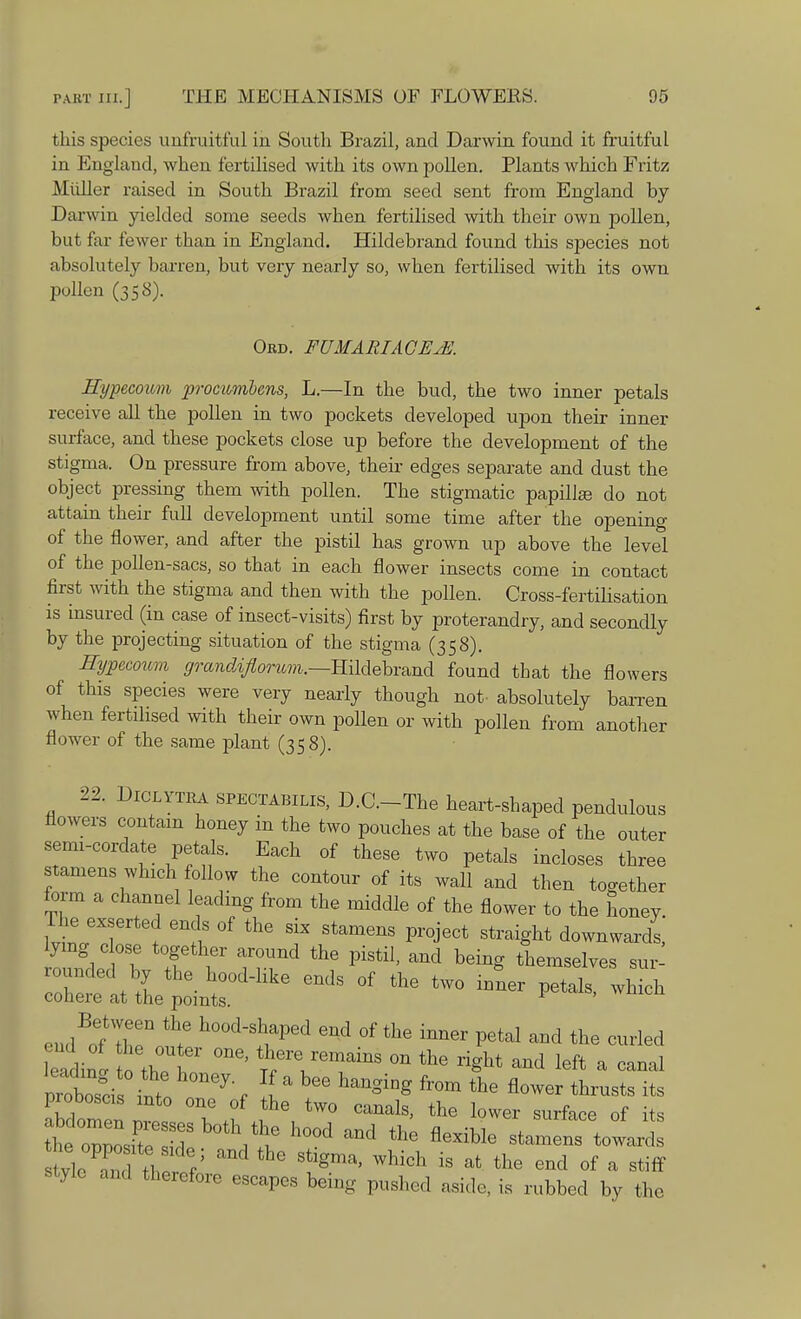 this species unfruitful in South Brazil, and Darwin found it fruitful in England, when fertilised with its own pollen. Plants which Fritz Mtiller raised in South Brazil from seed sent from England by- Darwin yielded some seeds when fertilised with their own pollen, but far fewer than in England. Hildebrand found this species not absolutely barren, but very nearly so, when fertilised with its own pollen (358). Ord. FUMARIACEjE. Hypecoum promcmbens, L.—In the bud, the two inner petals receive all the pollen in two pockets developed upon their inner surface, and these pockets close up before the development of the stigma. On pressure from above, their edges separate and dust the object pressing them with pollen. The stigmatic papilla? do not attain their full development until some time after the opening of the flower, and after the pistil has grown up above the level of the pollen-sacs, so that in each flower insects come in contact first with the stigma and then with the pollen. Cross-fertilisation is insured (in case of insect-visits) first by proterandry, and secondly by the projecting situation of the stigma (358). Hypecoum grandifiontvi.~RMebrfm.di found that the flowers of this species were very nearly though not absolutely barren when fertilised with their own pollen or with pollen from another flower of the same plant (358). 22. Diclytra spectabilis, D.C.-The heart-shaped pendulous flowers contain honey in the two pouches at the base of the outer semi-cordate petals. Each of these two petals incloses three stamens which follow the contour of its wall and then together form a channel leading from the middle of the flower to the honey MnVl 1 e^ S °f ? StamenS Pr°ject straiSht downwards, lying dose together around the pistil, and being themselves sur- rounded by the hood-like ends of the two inner petals, wh ch cohere at the points. 1 Between the hood-shaped end of the inner petal and the curled leadint tZT f™™™™ °» *ght and left a canal proboscis into one of the two canals, the lower surface of its ^°ZLeZh°V* h°0d ^ ^ ~  Vl th f5 6 St.lgma' WWch 18 ^ -d °f » tiff style and therefore escapes being pushed aside, is rubbed by the