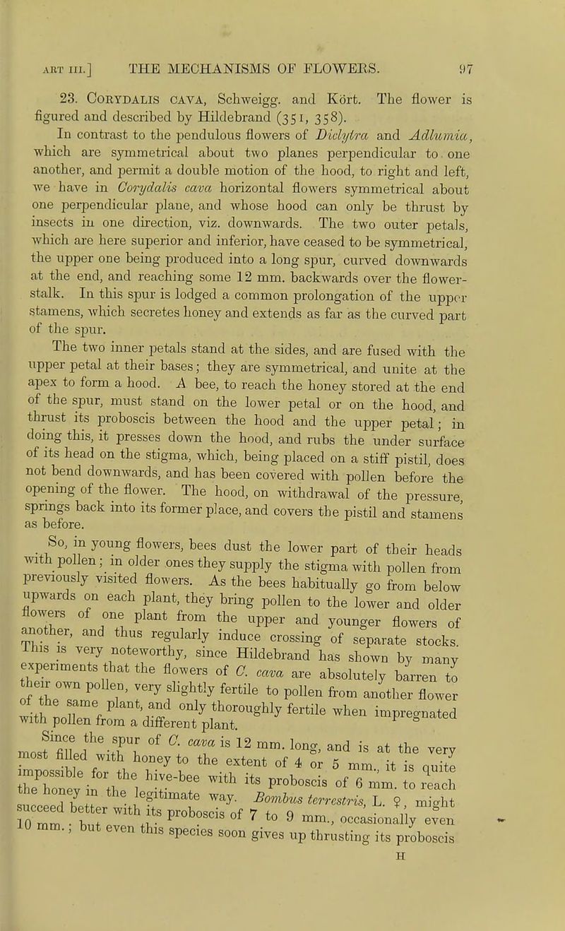 23. Corydalis cava, Schweigg. and Kort. The flower is figured and described by Hildebrand (351, 358). In contrast to the pendulous flowers of Diclyira and Adlumia, which are symmetrical about two planes perpendicular to . one another, and permit a double motion of the hood, to right and left, we have in Corydalis cava horizontal flowers symmetrical about one perpendicular plane, and whose hood can only be thrust by insects in one direction, viz. downwards. The two outer petals, which are here superior and inferior, have ceased to be symmetrical, the upper one being produced into a long spur, curved downwards at the end, and reaching some 12 mm. backwards over the flower- stalk. In this spur is lodged a common prolongation of the upper stamens, which secretes honey and extends as far as the curved part of the spur. The two inner petals stand at the sides, and are fused with the upper petal at their bases; they are symmetrical, and unite at the apex to form a hood. A bee, to reach the honey stored at the end of the spur, must stand on the lower petal or on the hood, and thrust its proboscis between the hood and the upper petal; in doing this, it presses down the hood, and rubs the under surface of its head on the stigma, which, being placed on a stiff pistil, does not bend downwards, and has been covered with pollen before the opening of the flower. The hood, on withdrawal of the pressure springs back into its former place, and covers the pistil and stamens as before. So, in young flowers, bees dust the lower part of their heads with pollen; m older ones they supply the stigma with pollen from previously visited flowers. As the bees habitually go from below upwards on each plant, they bring pollen to the lower and older flowers of one plant from the upper and younger flowers of another, and thus regularly induce crossing of separate stocks This is very noteworthy, since Hildebrand has shown by many expends that the flowers of G. cava are absolutely barren to fethe°TlP T' I7 figlfly f6rtlle t0 VoUen from another flower of the ame piant d only thoro fertile with pollen from a different plant «0natea mosffillpfVn °f a Mm iS 12 l0n- and is ^ the very most filled with honey to the extent of 4 or 5 mm it is quite Zwviftl^l hirbee ^ ^ Pr0b0Sds °f 6 - each inmm . v, . Jr. ProDoscls ot 7 to 9 mm., occasionally even 10 mm., but even this species soon gives up thrusting its proboscis H