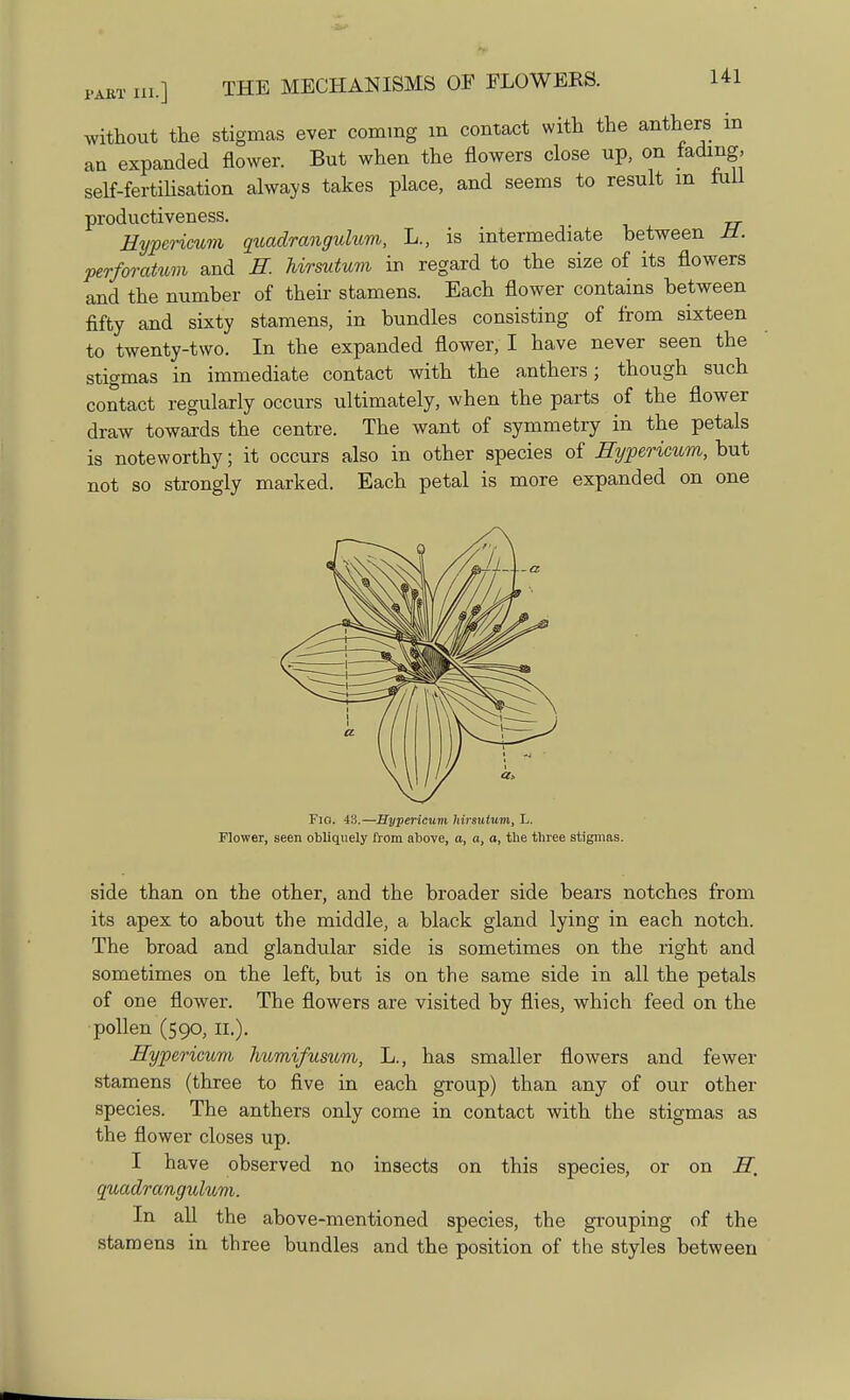 without the stigmas ever coming m contact with the anthers in an expanded flower. But when the flowers close up, on lading, self-fertilisation always takes place, and seems to result in lull productiveness. Hypericum guadrangulum, L., is intermediate between H. perforatum and H. hirsutum in regard to the size of its flowers and the number of their stamens. Each flower contains between fifty and sixty stamens, in bundles consisting of from sixteen to twenty-two. In the expanded flower, I have never seen the stigmas in immediate contact with the anthers; though such contact regularly occurs ultimately, when the parts of the flower draw towards the centre. The want of symmetry in the petals is noteworthy; it occurs also in other species of Hypericum, but not so strongly marked. Each petal is more expanded on one Fig. 43.—Hypericum liirsutum, L. Flower, seen obliquely from above, a, a, a, the three stigmas. side than on the other, and the broader side bears notches from its apex to about the middle, a black gland lying in each notch. The broad and glandular side is sometimes on the right and sometimes on the left, but is on the same side in all the petals of one flower. The flowers are visited by flies, which feed on the pollen (590, II.). Hypericum humifusum, L., has smaller flowers and fewer stamens (three to five in each group) than any of our other species. The anthers only come in contact with the stigmas as the flower closes up. I have observed no insects on this species, or on H. quadrangulum. In all the above-mentioned species, the grouping of the stamens in three bundles and the position of the styles between