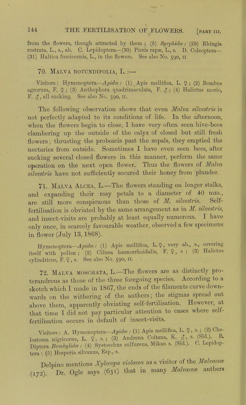 from the flowers, though attracted by them ; (6) Syrphidce;' (29) Rhingia rostrata, L., s., ab. C. Lepidoptera—(30) Pieris rapsa, L., s. D. Coleoptera— (31) Haltica fuscicornis, L., in the flowers. See also No. 590, n, 70. Malva rotundifolia, L.:— Visitors: Hymenoptera—Apidce: (1) Apis mellifica, L. $ ; (2) Bombus agrorum, F. $ ; (3) Anthophora quadrmiaculata, F. £ ; (4) Halictus morio, F. $, all sucking. See also No. 590, n. The following observation shows that even Malva silvestris is not perfectly adapted to its conditions of life. In the afternoon, when the flowers begin to close, I have very often seen hive-bees clambering up the outside of the calyx of closed but still fresh flowers; thrusting the proboscis past the sepals, they emptied the nectaries from outside. Sometimes I have even seen bees, after sucking several closed flowers in this manner, perform the same operation on the next open flower. Thus the flowers of Malva silvestris have not sufficiently secured their honey from plunder. 71. Malva Alcea, L.—The flowers standing on longer stalks, and expanding their rosy petals to a diameter of 40 mm., are still more conspicuous than those of M. silvestris. Self- fertilisation is obviated by the same arrangement as in M. silvestris, and insect-visits are probably at least equally numerous. I have only once, in scarcely favourable weather, observed a few specimens in flower (July 13,1868). Hymenoptera—Apidce: (1) Apis mellifica, L. $, very ab., s., covering itself with pollen; (2) Cilissa liEemorrhoidalis, F. $., s ; (3) Halictus cylindricus, F. ?, s. See also No. 590, IX . 72. Malva moschata, L.—The flowers are as distinctly pro- terandrous as those of the three foregoing species. According to a sketch which I made in 1867, the ends of the filaments curve down- wards on the withering of the anthers; the stigmas spread out above them, apparently obviating self-fertilisation. However, at that time I did not pay particular attention to cases where self- fertilisation occurs in default of in sect-visits. Visitors : A. Hymenoptera—Apidce : (1) Apis mellifica, L. $ , s.; (2) Che- lostoma nigricorne, L. ?, s. ; (3) Andrena Coitana, K J s. (Sid.) B. Diptera Bombylidce : (4) Systoechus sulfureus, Mikan s. (Sid.). C. Lepidop- tera : (5) Hesperia silvanus, Esp., s. Delpino mentions Xylocopa violacea as a visitor of the Malvacecc (172). Dr. Ogle says (631) that in many Malvacem anthers