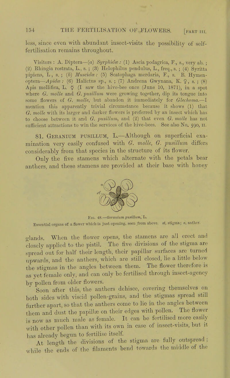 less, since even with abundant insect-visits the possibility of self- fertilisation remains throughout. Visitors : A. Diptera—(«) Syrphidm: (1) Ascia podagrica, I\, s., very ab. ; (2) Ehingia rostrata, L., s. ; (3) Helophilus pendulus, L., freq., s. ; (4) Syritta pipiens, L, s. ; (b) Muscuhe: (5) Scatophaga merdaria, F., s. B. Hymen- opt era—Apidce: (6) Halictus sp., s. ; (7) Andrena Gwynana, K. ?, s. ; (8) Apis mellifica, L. $ (I saw the hive-bee once (June 10, 1871), in a spot where 67. molle and G.pusillum were growing together, dip its tongue into some flowers of G. molle, but abandon it immediately for Glechoma,—I mention this apparently trivial circumstance because it shows (1) that G. molle with its larger and darker flowers is preferred by an insect which has to choose between it and G. pusillum, and (2) that even G. molle has not sufficient attractions to win the services of the hive-bees. See also No. 590, n. 81. Geranium pusillum, L.—Although on superficial exa- mination very easily confused with G. molle, G. pusillum differs considerably from that species in the structure of its flower. Only the five stamens which alternate with the petals bear anthers, and these stamens are provided at their base with honey Fia. 48.—Geranium pimilum,' L. Essential organs of a flower which is just opening, seen .from above, st, stigma; a, anther. o-lands. When the flower opens, the stamens are all erect and closely applied to the pistil. The five divisions of the stigma are spread out for half their length, their papillar surfaces are turned upwards, and the anthers, which are still closed, lie a little below the stigmas in the angles between them. The flower therefore is as yet female only, and can only be fertilised through insect-agency by pollen from older flowers. Soon after this, the anthers dehisce, covering themselves on both sides with viscid pollen-grains, and the stigmas spread still further apart, so that the anthers come to lie in the angles between them and dust the papilhe on their edges with pollen. The flower is now as much male as female. It can be fertilised more easily with other pollen than with its own in case of insect-visits, but it has already begun to fertilise itself. At leno-th the divisions of the stigma are fully outspread : while the ends of the filaments bend towards the middle of the