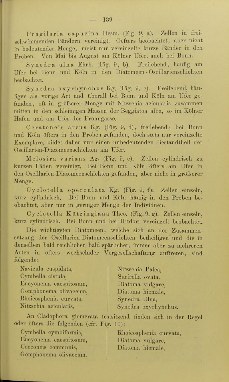 Fragilaria capucina Desm. (Fig. P, a). Zellen in frei- schwimmenden Bändern vereinigt. Oefters beobachtet, aber nicht in bedeutender Menge, meist nur vereinzelte kurze Bänder in den Proben. Von Mai bis August am Kölner Ufer, auch bei Bonn. Synedra ulna Ehrb. (Fig. 9, b). Freilebend, häufig am Ufer bei Bonn und Köln in den Diatomeen - Oscillarienschichten beobachtet. Synedra oxyrhynchus Kg. (Fig. 9, c). Freilebend, häu- figer als vorige Art und überall bei Bonn und Köln am Ufer ge- funden, oft in gröfserer Menge mit Nitzschia acicularis zusammen mitten in den schleimigen Massen der Beggiatoa alba, so im Kölner Hafen und am Ufer der Frohngasse. Ceratoneis arcus Kg. (Fig. 9, d), freilebend; bei Bonn und Köln öfters in den Proben gefunden, doch stets nur vereinzelte Exemplare, bildet daher nur einen unbedeutenden Bestandtheil der Oscillarien-Diatomeenschichten am Ufer. Melosira varians Ag. (Fig. 9, e). Zellen cylindrisch zu kurzen Fäden vereinigt. Bei Bonn und Köln öfters am Ufer in den Oscillarien-Diatomeenschichten gefunden, aber nicht in gröfserer Menge. Cyclotella operculata Kg. (Fig. 9, f). Zellen einzeln, kurz cylindrisch. Bei Bonn und Köln häufig in den Proben be- obachtet, aber nur in geringer Menge der Individuen. Cyclotella Kützingiana Theo. (Fig. 9, g). Zellen einzeln, kurz cylindrisch. Bei Bonn und bei Hitdorf vereinzelt beobachtet. Die wichtigsten Diatomeen, welche sich an der Zusammen- setzung der Oscillarien-Diatomeenschichten betheiligen und die in denselben bald reichlicher bald spärlicher, immer aber zu mehreren Arten in öfters wechselnder Vergesellschaftung auftreten, sind folgende: Nitzschia Palea, Navicula cuspidata, Cymbella cistula, Encyonema caespitosum, Gomphonema olivaceum, Rhoicosphenia curvata, Nitzschia acicularis, Surirella ovata, Diatoma vulgare, Diatoma hiemale, Synedi-a Ulna, Synedra oxyrhynchus. An Cladophora glomerata festsitzend finden sich in der Regel oder öfters die folgenden (cfr, Fig. 10): Cymbella cymbiformis, Encyonema caespitosum, Cocconeis communis, Gomphonema olivaceum. Rhoicosphenia curvata, Diatoma vulgare, Diatoma hiemale.