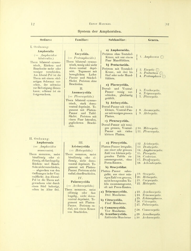 System der Amphoridea. Ordiiies: Faniiliae: Sul)familiae: Genera. I. O r (1 n u 11 g: Amplionilia (— Anipliorideu hilateraUa.) Theca bilateral - symiiie- trisch, Riickeii- uiid Bauchseite raehr oder weniger verschiedeu. Am Aboral Pol ist die Theca mit einem stiel- aitigeii Schwauz ver- sehen, der zeitweise zur Befestiguiig dieiien kann; selteiier ist sie festgewachsen. II. O r d n u n g: Aiiiphoronia (= Amphoridea mona.ronia). Theca iiioiiaxon, iiieist biruformig oder ei- formig, oft fast kugelig. Riicken- und Bauch- Seite iiicht verschieden, — abgesehen vou den Oeffiiungen inder Ven- tralfliiche. Am Aboral- Pol ist die Theca auf- gewachsen oder durcli eiiien Stiel befestigt, selteii im Alter frei. I. Eocystida. (= Frotampliorida.) Theca bilateral-symiiie- trisch, wenig oder nicht dorse-ventral depri- mirt. Tegument mit beweglichem Leder- ^ Panzer und Stiickel- Skelet. Peristom ohne Brachiolen. II. Aiioinocjstida (= Fleiiroci/sfida.) Theca bilateral - symme- trisch, stark dorso- ventral deprimirt. Te- gument mit Platten- Pauzer uud Tafel- Skelet. Peristom mit einem Paar lateralen, gegliederten Brachi- olen. III. Aristocystida (= HoJocfjstida.) Theca monaxon, raeist birnforniig oder ei- forraig, nicht dorso- veiitral deprimirt. Te- gument mit Platten- Pauzer. Peristom nicht radial,ohneBrachiolen. IV. Palaeocystida (= Arcliaeocystida.) Theca monaxon, meist eiformig oder fast kugelig, nicht dorso- ventral deprimirt. Te- gument mit Platten- Panzer. Peristom ra- dial, mit einem Kranz von Brachiolen. a) Ainplioraeida. Peristom ohne Tentakel- Kranz, mit nur einem Paar Mundfiihlern. b) Peiitactaeida. Peristom mit Tentakel- Kranz, mit drei bis fiiiif oder niehr Mund- fiihlern. a) Placocystida. Dorsal- und Ventral- Panzer wenig ver- schieden, gleichartig getafelt. b) Atelocystida. Dorsal-Panzer mit vielen kleineii, Ventral-Pan- zer mit wenigen grossen Platten. (•) Pleurocystida. Dorsal-Panzer mit weni- gen grossen, Ventral- Panzer mit vielen kleinen Platten. a) Pirocystida. Platten-Panzer irregular, aus einer sehr grossen Zahl von kleinen poly- gon alen Tafeln zu- j sammengesetzt, ohne Poren-Rauten. b) Oi'ocystidae. Platten-Panzer subre- gular, aus einer niiis- sigen Zahl von grossen, meist hexagon alen Ta- feln zusammengesetzt, oft mit Poren-Rauten. a) TriiUMiiacysfida. Drei Mundarine. b) Citrooystida. Fiinf Mundarme. c) Coinarocystida. Vier Mundarme. (1) Ai-anthoeystida. Zahlreiche Mundarme 1. Aniphoraea Q I 2. Eocyslis Q I 3. Penfactaea Q [ 4. Protumphora Q 5. Trochori/stis. 6. Ti igoiiocystis. 7. PJacocystis. I 8. AiioDiucysHs. \ 9. Atelocystis. j 10. Mitrocystis. \ 11. Plenrocystia. 12. Aristocystis. 18. Deiitocystis. 14. Amphoraeystis. 15. Pirocystis. 16. Craterij/a. 1 7. Di-iidrocystis. 18. Achrudocystis. 19. Orocysth. 20. Hcliocystis. 121. Caryocystis. I 22. Holocystis. \2'?>. Arachnocystis. \ 24. Trinemacystis. (25. Echinosphaera. i 26. Cif roc ystis. I 27. PaJac'ocystis. I 28. Coiuarocystis. f 29. Acanthocystis. \ 30. Archaeocystis.