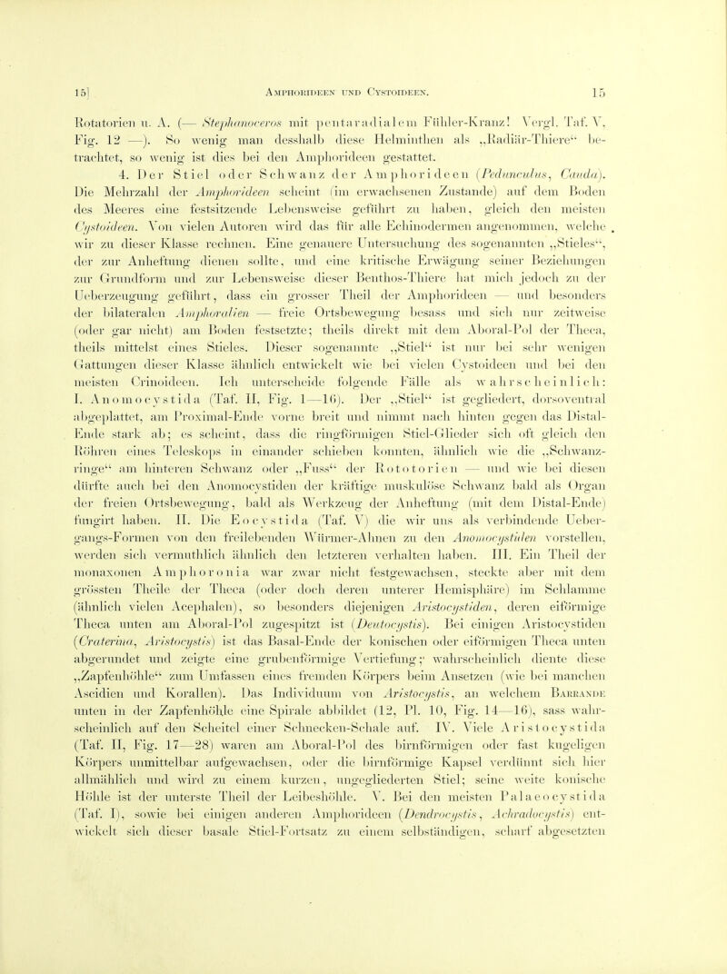 Rotatorien u. A. (— SfepJurnoreros mit pciitai-adialein Fiililer-Kraiiz! W'rgl. Taf. Y, Fig-. 12 —). So weriig man desslialb diese lielmiiitlieii als ,,ivadiiir-Thiere'' l)e- traclitet, so wenig ist dies bei den Amplioridecn gestattet. 4. Der Sticl odcr Scliwanz der A m plior i de en [Pedunculus^ Cauda). Die Melirzalil der Amphorkleen sclieint fini erwaclisenen Zustande) anf dem Boden des Meeres eine festsitzende J^ebenswei.se gefiihrt zu liaben, gleicli den meisten Cijstoideen. Von vielen Autoren wird das fiiv alle Ecliinodermen angenommen, welche . wir zu dieser Klasse rechnen. Eine genauere Untersuchung des sogenannten ^Stieles, der zur Anheftung dienen soUte, und eine kritisclie Erwagung seiner Bezielnuigen zur Grundfbrm und zur Lebensweise dieser Bentlios-Tliiere hat mich jedoch zu der Ueberzeugung gefiUn-t, dass ein grosser Theil der Ampliorideen — und besonders der Ijilateralen Amphorah'en — freie Ortsbewegung besass und sicli nur zeitweise (oder gar iiiclit) am Boden festsetzte; theils direkt mit dem Aboral-Pol der Tlieca, theils mittelst eines Stieles. Dieser sogenannte ,,Stiel ist nur bei sehr wenigen Gattungen dieser Klasse almlicli entwickelt wie bei vielen Cystoideen und bei den meisten Crinoideen. Icli unterselieide folgende Fiille als w allr s c li e i n 1 i e 1l : I. Anomocystida (Taf. II, Fig. 1—Kij. Der ,,Stiel ist gegliedert, dorsoventral abgeplattet, am Proximal-Ende vorne bieit und nimmt nacli liinten gegen das Distal- Ende stark ab; es sclieint, dass die ringformigen Btiel-Glieder sicli oft gleicli den Ilohren eines Teleskops in einander scliieben konnten, {ihnlicli wie die ,,ScliAvanz- ringe am liinteren Scliwanz oder „Fuss der Rototorien — und Avie bei dieseii diirfte audi Ijei den Anomocystiden der kriiftige muskulose Scliwanz bald als Organ der freien Ortsbewegung, bald als Werkzeug der Anheftung (mit dem Distal-Ende) fungirt haben. II. Die Eocystida (Taf. V) die war uns als verbindende Ueber- gangs-Formen von den freilebenden Wurmer-Ahiien zu den Anoiiiocijstiden vorstellen, werdeii sich vermuthlicli ahnlich den letzteren verlialten haben. III. Ein Theil der monaxonen A m p h o r o n i a war zwar iiicht festgewaclisen, steckte aber mit dem grossten Tlieile der Tlieca (oder docli dereii unterer Hemisphare) im Sclilamme (ahnlich vielen Aceplialeii), so besonders diejenigen Aristocystiden^ deren eiformige Theca unteii am Aboral-Pol zugespitzt ist (Deutoc/jstis). Bei einigeii Aristocystiden [Craterina^ Avistocystis) ist das Basal-Ende der konischeii oder eiformigen Theca unten abgeruiidet und zeigte eine grubenfiirmige Vertiefung ;• walirscheinlich diente diese ,,Zapfenholile zum Umfasseii eines fremden Korpers beim Ansetzen (wie bei manchen Ascidien und Korallen). Das Individuum von Arisfocystis ^ an welcliem Bareande unten in der Zapfenliohle eine Spirale abbildet (12, PI. 10, Fig. 14—16), sass walir- scheinlich auf den Scheitel eiiier Sclmecken-Schale auf. I\'. Viele Aristocystida (Taf. II, Fig. 17—28) waren am Aboral-I*ol des birnformigen oder fast kugeligen Korpers unmittelbar aufgewaclisen, oder die birnformige Kapsel A'erdiiniit sich hier allmalilich und wird zu einem kurzen, ungegliederten Stiel; seine weite konische Hohle ist der uiiterste Theil der Leibesliohle. V. Bei den meisten Palaeocystida (Taf. I), so wie bei einigen anderen Ampliorideen {^DendrocysHs ^ Achradocystts) ent- wickelt sich dieser basale Stiel-Fortsatz zu einem selbstiindigen, scharf abgesetzten