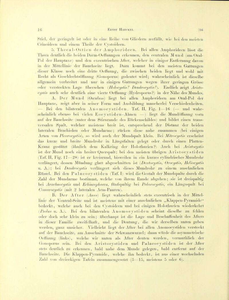 8tie], der geriiigelt ist odci' in cine Kciiie xon Glicderii zci'fHlit, wic bei deii inei.^tuii Crinoideeii uiid eiiiem Theile der Cystoideen. 5. T h e c a ]-Os t i e 11 der A in]) lio rid ecu. Bei alien Ampliorideeii lasst die Theca deutlicli die beiden Uarm-Oetfnimgeii erkeiiueii, den centraleii Mund (am Oral- Pol der Haii})taxe) und den excentrisclieii After, Avelcher in einiger Entferiiung davon in der Mittellinie der Baucliseite liegt. Dazu kommt bei den meisten Gattuiigeii dieser Klasse nocli cine dritte Oeffiiung, die zwisclien beiden liegt und wolil mit Eeclit als GesclileclitsofFnnng (Goiioporus) gedeutet wird; 'walirscheinlicli ist dieselbe allgemein verbreitet nnd iiui- in einigen Gattiingen wegen ilirer geringen Grcisse oder yersteelvten l^age iiberseben (Holocf/stis? Dendrocystis?). Eiidlicli zeigt Arisfo- cystis aneli sebr deutlicli eine vierte Oeffnung (Hydroporus?) in der Nahe des Mundes. A. Der Mund (Osculum) liegt bei alien Amphorideen am (3ral-Pol der Hauptaxe, zeigt aber in seiner Form und Ausliildung maiiclierlei Vers(diiedenlieiteii. — Bei den bilateralen A n o m o c y s t i d e n , Taf. II, Fig. 1—16 (■— und walir- scheinlicli ebenso bei vielen Eoc ystiden - Abneii —j liegt die Mundofifnung vorii auf der Baucliseite funter dem Stirnrande des lliickeiiscliildes) und bildet eineii trans- versalen Spalt, welclier meistens breit ist, entspreclieiid der Distanz der beiden lateralen Bracliiolen oder Mundarme; rilcken diese iialie zusammen (bei einigen Arten von Plenrocystis)^ so wii'd audi der Mundspalt klein. Bei Miirocijsfis ersclieiiit das kurze und breite Mundrohr in Ijangsfalten gelegt oder durch eiiien Platten- Kranz gestiitzt (almlicli dem Kalkring der Holotliurien Vj Audi bei AHstocystis ist der Mund nocli ein breiter Querspalt; bei den meisten iibrigeii Aristocy s ti den (Taf. II, Fig. 17—28) ist er kreisrund, bisweileii in ein kurzes cyliiidrisclies Mundrolir verlaiigert, dessen Miindung glatt abgesclinitten ist {Deutocystis^ Oroctjsth, Hidwcysfis u. A.); bei Deiidrocystis verlangert sicli dieses Mundrohr zu einem ansehnlicheii Elissel. Bei den Palaeocy stiden (Taf. I) wird die Gestalt der Mundsjjalte durch die Zalil der Mundarme bestimmt, welche von ihrem Eande abgelien; sie ist dreispaltig bei Arachnocystis und Ecliinospliaera^ fiinfspaltig bei Pcdaeocystis^ ein Langsspalt bei Comarocystis (mit 2 lateralen Arm-Paaren). B. Der After (Anus) liegt walirscheinlicli stets excentrisch in der Mittel- linie der A'eiitral-Seite und ist meistens mit einer ansehnlicheii ,,Kla|)])eii-Pyramide bedeckt, welche audi bei den ( Vstoideen und bei einigen Holotliurien wiederkehrt (Psolu.'i u. A.). Bei den bilateralen A no m o c y sti deii scheint dieselbe zu fdilen oder docli sehr klein zu sein; uberhau])t ist die Lage und l )esdiaffenlieit des Afters in dieser Familie zweifelhaft, und die Deutung, die Avir derselben unten geben werden, ganz unsidier. Vielleicht liegt der After bei alien Anomocystiden versteckt auf der Baucliseite, am Ausschnitte der Schwaiizwurzel; dann wiirde die asymmeti-ische (Jeffnung (links), welche wir unten als After deuteii werden, vermuthlicli der Goiioporus sein. Bei den Ar i sto cyst id en und Palaeocy stiden ist der After stets deutlicli zu erkeiineii, bald nahe dem Muiide gelegen, l)ald entfernt auf der Baucliseite. Die Klappen-Pyramide, welche ihn bedeckt, ist aus einer wecliselnden Zahl von dreieckigen Tafeln zusammengesetzt (3—15, meistens 5 oder G).