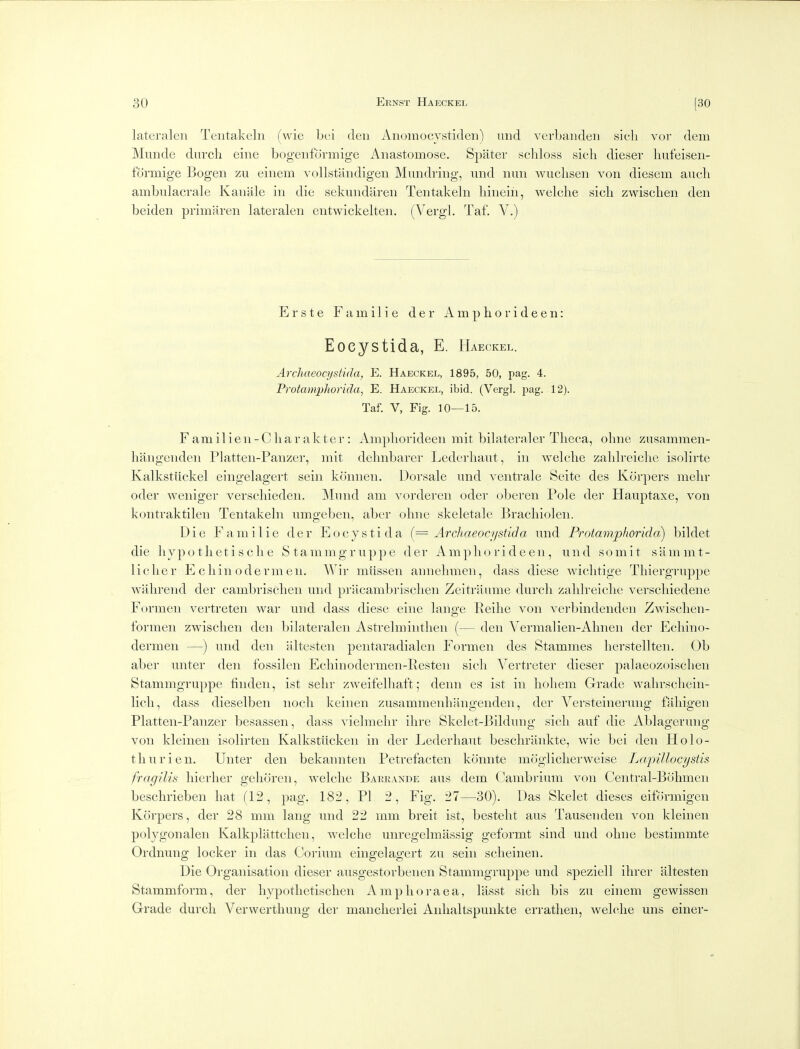 lateraleii Teiitakeln (wie bei den Anoinocvstideii) imd verbanden sich vor dem Munde durch eine bogenformige Anastomose. Spater scliloss sicli dieser liufeisen- formige Bogen zu einem vollstandigen Mundring, und nun wuclisen von diesem anch ambulacrale Kanale in die sekundiiren Tentakeln liineih, welclie sicli zwischen den beiden primaren lateralen entwickelten. (Vergl. Taf. V.) Erste Familie der Ampborideen: Eoeystida, E. Haeckel. Archneocysiida, E. Haeckel, 1895, 50, pag. 4. Protampliorida, E. Haeckel, ibid. (Vergl. pag. 12). Taf. V, Fig. 10—15. F am i 1 i e n - C b a r a k t c r: Ampborideen mit bibxteraler Tbeca, obne zusammen- hangenden Platten-Panzer, mit debnbarer Lederhaut, in welcbe zabb-eicbe isolirte Kalkstiickel eingelagert sein komien. Dorsale iind ventrale Seite des Kcirpers mebr oder weniger verscliieden. Mnnd am vorderen oder oberen Pole der Hauptaxe, von kontraktilen Tentakebi umgeben, aber obne skeletale BracbioleiL Die Familie der Eoeystida (= Archaeocystida und Protamphoridci) bildet die bypotbetiscbe Stammgruppe der Ampborideen, und somit siimmt- licber E c bin oder men. Wir miissen annebmen, dass diese wicbtige Tbiergruppe wabrend der cambriscben und pracambriscben Zeitraume durcli zablreicbe verscbiedene Formen vei-treten war und dass diese eine lange Reibe von verbindenden Zwiscben- formen zwiscben den bilateralen Astrebnintben (— den Vermalien-Abnen der Ecbino- dermen —) und den iiltesten pentaradialen Formen des Stammes berstellten. Ob aber unter den fbssilen Ecbinodermen-Resten sicb Vertreter dieser palaeozoiscben Stammgruppe linden, ist sebr zweifelbaft; denn es ist in boliem Grade wabrscbein- beb, dass dieselben nocb keinen zusammenbangeiiden, der Versteinei-uiig fabigen Platten-Panzer besassen, dass vielmebr ibre Skelet-Bildung sicb auf die Ablagerung von kleinen isolirten Kalkstlicken in der Lederbaut bescbrankte, wie bei den Holo- tburien. Unter den bekannten Petrefacten konnte moglicberweise Lapillocystis fragilis bierber geboren, welcbe Baeiiande aus dem Cambrium von Central-Bobmen bescbrieben bat (12, pag. 182, PI 2, Fig. 27—30). Das Skelet dieses eilormigen Korpers, der 28 mm lang und 22 mm breit ist, bestebt aus Tausenden von kleinen polygonalen Kalkpliittcben, welcbe unregelmassig geformt sind und obne bestimmte Ordnung locker in das Corium eingelagert zu sein scbeinen. Die Organisation dieser ausgestorbenen Stammgruj)pe und speziell ibrer iiltesten Stammform, der bypotbetiscben Amplioraea, lasst sicb bis zu einem gewissen Grade durcb Verwertbung der mancberlei Anbaltspunkte erratben, welebe uns einer-