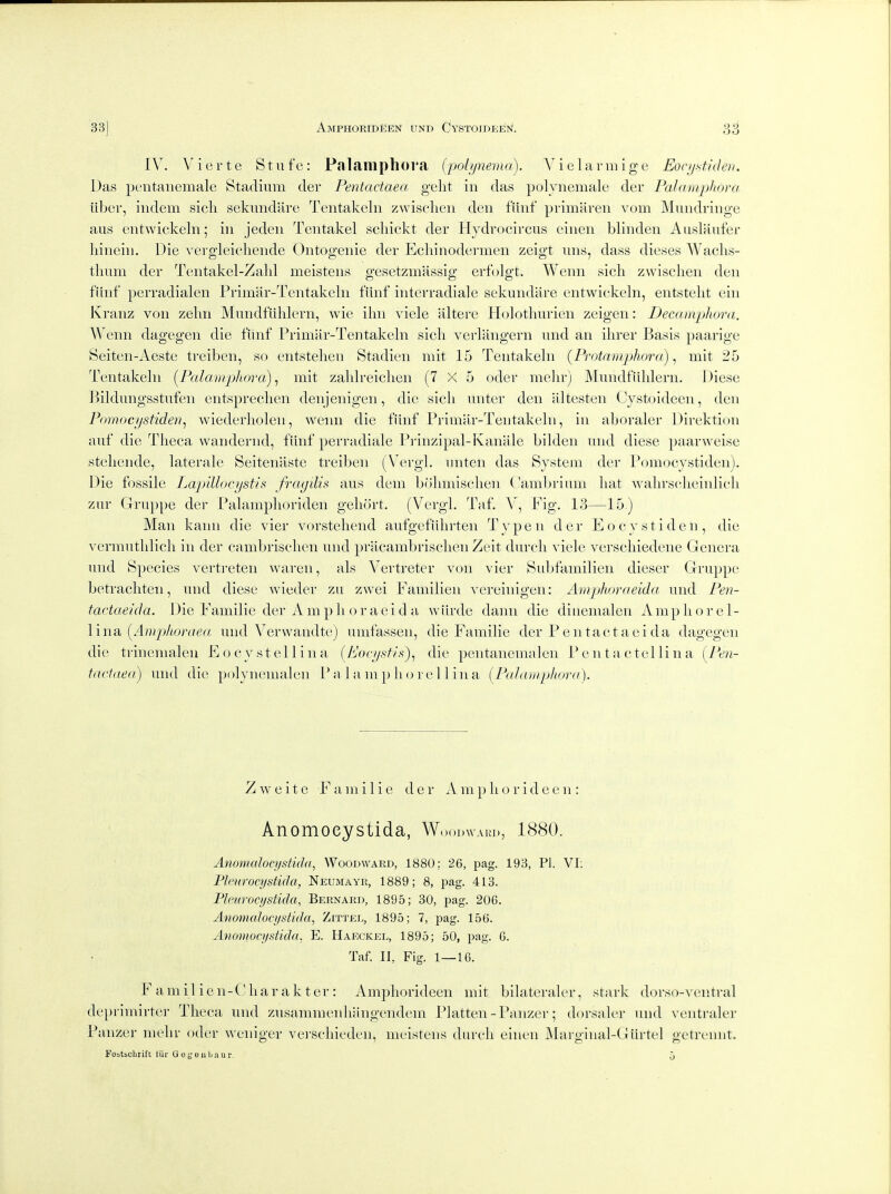 IV. Vierte Stufc: Palamphora {polynema). Vielarniige Eonjstideiu Das pentanemale Stadium der Pentactaea gelit in das polynemale der Palamphora iiber, iudem sicli sekundare Tentakeln zwischeii den fiinf primaren vom Mundringe aus entwickeln; in jeden Tentakel scliickt der Hydrocircus einen blinden Auslaufer hinein. Die vergleicliende Ontogeiiie der Echinodermen zeigt iins, dass dieses Waclis- tlnim der T(!ntakel-Zalil meistens o-esetzmassiff erf(jlo-t. Wenn sich zvvisclien den fiinf perradialen Primar-Tentakeln fiinf interradiale sekundare entwickeln, entstelit ein Kranz von zelm Mundfiihlern, wie iim viele alterc Holothurien zeigen: Decamphora. Wenn dagegen die fiinf Frimiir-Tentakeln sich verlangern und an ihrer Basis paarige Seiten-Aeste treiben, so entstelien Stadien mit 15 Tentakeln (Protamphora) ^ mit 25 Tentakeln [Palamphora)^ mit zalilreiclien (7X5 oder meln-) Mundfiihlern. Diese Bildungsstufen entsprechen denjenigen, die sich unter den altesten Gystoideen, den Pomocystiden^ wiederholen, wenn die fiinf Primar-Tentakeln, in aboraler Direktion auf die Theca wandernd, fiinf perradiale Piinzipal-Kanale bilden und diese paarweise steliende, laterale Seitenaste treiben (Vergl. unten das System der Pomocystiden). Die fossile Lap>illocystis fragilis aus dem bohmischen (/'ambrium liat wahrscheirdich zur Gruppe der Palamphoriden gehort. (Vergl. Taf. A', Fig. 13—15) IMan kaim die vier vorstehend aufgefiihrten T y p e n der E o c y s t i d e n , die vermutlilich in der cambrischcn und priicambrischen Zeit durch viele verschiedene Genera und Species vertreteii waren, als Vertreter von vier Sidjftimilien dieser Gruppe betracliten, und diese wieder zu zwei Familien vereinigen: Amphora.eida und Pen- tactaeida. Die Familie der Amphoraeid a wiirde dann die dinemalen Amphorel- \indi, [Amplioraea und Verwandte) umfassen, die Familie der Pen tact aei da dagegen die trinemaleu Eocystellina [I^Jocysfh)^ die pentanemalen Pentactellina {l*en- tactaea^ und die polynemalen P a 1 a m p h o r e 11 in a [Palamphora). Z w e i t e Familie der A m p li o r i d e e n : Anomoeystida, W. 1880. Anomaloqistida, Woodward, 1880; 26, pag. 193, PI. VL Pleurocystida, Neumayr, 1889; 8, pag. 413. Pleuroajstida, Bernard, 1895; 30, pag. 206. Ano^naJocystida, Zittel, 1895; 7, pag. 156. Anomoeystida. E. Haeckel, 1895; 50, pag. 6. Taf. II, Fig. 1—16. F a m i 1 i e n-G ha r a k t er : Amphorideen mit bilateraler, stark dorso-ventral deprimirtcr Theca und zusammenliiingendem Flatten - Panzer; dorsaler und ventraler Panzer mehr oder weniger verschieden, meistens durch einen JMarginal-Giirtel getrennt. Fobtbchrift tiir G 0 g eu La u r. 5