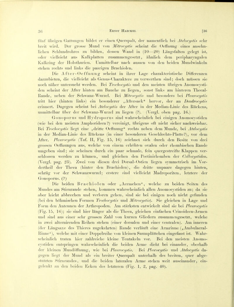 30 fiiiif iibiigeii Gattuugfii bildct or ciueu ^^)llcl•spalt, der lunnentlicli bci AteIocij.'<tis sclir breit wird. Uer grosse Mund von Mitrocystis sclieiiit die Oeffuung- ciiies aiiselin- liclien Sclilundrolires zu bildeii, desseii Wand in (10—20) Laijgsfalten gelegt ist, oder vielleicht aus Kalkplatten zusammengesetzt, ahnlicli dem peripliaiyngalen Kalkving der Holothurien. UmnitterDar nacli aussen von den beiden Muudwinkeln stelien rechts nnd links die paarigen Brachiolen. Die A fter-Oeffnun g sclieint in ihrer l^age charaktevistisclie Ditferenzen darzubieten, die vielleielit als Genus-Charaktere zu vervvertlien .siud; doeli miissen sie nocli nalier untersuclit werden. ]ku Trochocystin und den nieisten iibrigen Anomoeysti- den selieint der After hinten am Bauclie zu liegen, sonst links am liinteren Tliecal- Eaude, neben der Scliwanz-Wurzel. Bel Mitrocystis und besonders bei Pleurocystis tritt liier (liinten links) ein besonderer „Aftersack liervor, der an Dendrocystis erinnert. Dagegen sclieint bei Atelocystis der After in der Median-Linie des Rilckeus, unmittelbar iiber der Scliwanz-Wurzel zu liegen (?). (Vergl. oben pag. 10.) Gonoporus und Hydroporus sind wahrscheinlicli bei einigen Anomocystiden (wie bei den meisten Ampliorideen?) vereinigt, iibrigens oft niclit sicber nacliweisbar. Bei Trochocystis liegt eine „dritte Oetfnung rechts neben dem Munde, bei Atelocystis in der Median-Liuie des Riickens (in einer besonderen Gesclileclits-Platte'?), vor dem After. Pleurocystis (Taf. II, Fig. 15, 10) zeiclmet sicli durcli den Besitz von drei grossen Oeffnungen aus, welclie von einem crholiten ovalen oder rliombisclien Eande umgeben sind; sie scheinen durcli ein paar schmale, fein ([uergestreifte Klappen ver- sclilossen werden zu konnen, und gleiclien den Pectiiiirliomben der Callocystiden. (Vergl. pag, 23). Zwei von dieseii drei Dorsal-Ostien liegen symmetriscli im Vor- dertlieil der Tlieca (liinter den Bracliiolen), die dritte unpaare dagegen liinten, sclirJig vor der Sclnvanzwurzel; erstere sind vielleielit Madreporiteii, letztere der Gonoporus. (?) Die beiden Bracliiolen oder „Aermclien, welclie zu beiden Seiten des IMundes am Stirnrande stelieii, kommen walirsclieiiilicli alien Anomocystiden zu; da sie aber leiclit abbreclien und verl(jren gelieii, sind sie bei einigen nocli iiiclit gefunden (bei den bohmisclien Formeii Trochocystis und Mitrocystis). Sie gleiclien in Lage und Form den Antennen der Artliropodeii. Am starksten entwickelt sind sie bei Pleurocystis (Fig. 15, 10); sie sind liier langer als die Tlieca, gleiclien einfachen Crinoideen-Armen und sind aus einer selir grossen Zalil von kurzen Gliederii zusammengesetzt, welclie in zwei alternirenden Reihen stelieii (einer dorsaleii und einer ventral en). Am inneren (der Liingsaxe des Tliieres zugekehrten) Rande verlauft eine Armrinne („ Anibulacral- Rinne), welclie mit einer Uoppelreilie von kleinen Saumplattclien eingefasst ist. Walir- sclieiiilicli traten liier zalilreiclie kleine Tentakeln vor. Bei den meisten Anomo- cystiden entspriiigen wahrsclieiidicli die beiden Anne diclit bei einander, oberlialb der kleinen Mundoffnung, wie hoi Pleurocystis. Bei Placocystis und Atelocystis da- gegen liegt der Mund als ein breiter Querspalt unterlialb des breiten, (pier abge- stutzten Stirnrandes, und die beiden lateralen Arme stelien weit auseinander, ein-