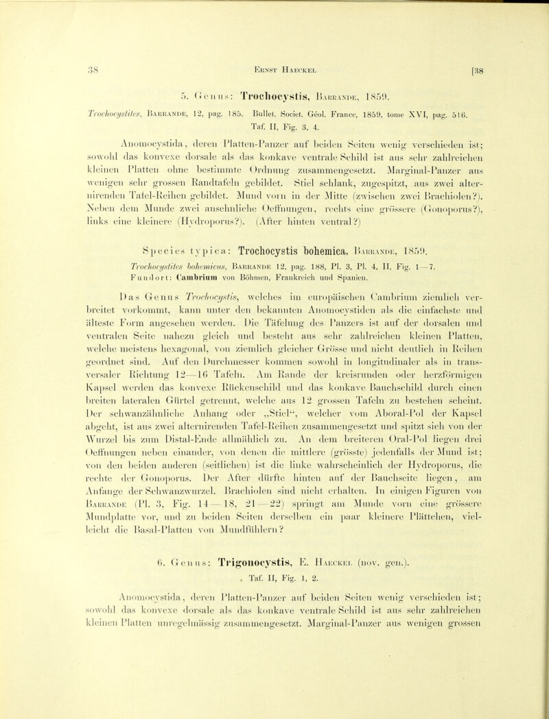 5. Genus: TrocllOCystis, Bai;i;an])e, 1850. Trochocijstites, Barrande, 12, pay. 185. Bullet. Societ. Geo). France, 1859, tome XVI, pag. 516. Taf. ir, Fig. 3, 4. Aiiomocjstida, dereii rJatteii-Paiizer auf beideii Seitcn wciiig verscliiefleu ist; sowulil das koiivexe dorsale als das konkave ventralc vScliild ist aus selir zaldrciclicii kleiiien Flatten ohne bestimnite Ordnimg zusammengesetzt. Marginal-Panzer aus wenigen sehr grossen Randtaf'eln gebildet, Stiel sclilank, zugespitzt, aus zwei alter- nirenden Tafel-Reilien gebildet. Mnnd vorn in der Mitte (zwisclien zwei PrachiolenV). Neben dem Munde zwei ansehnlicbe Oetfnungen, rechts eine gr<issere (Gonojjorus?), links eine kleinere (HydroporusVj. (After liinten ventral?) Species typica: Trochocystis bohemica, Paukandk, 1851). Trodwcystites hohemicus, Barrande 12, pag. 188, PI. 3, PI. 4, II, Fig. 1 — 7. Fund or t: Cambriiiiu von Bohnien, Frankreich inul Spanien. Das Genus Trochoajstis^ welches ini eui-opiiisclien Cambriuni ziemlicli ver- breitet vorkc^mmt, kann unter den bekannten Anomocystiden als die einfachste and alteste Form angeseheii werden. Die Tafelung des l*anzers ist auf der dorsaleii und ventralen Seite nahezu gleicli imd besteht aus sehr zahlreichen kleinen Flatten, welche meistens hexagonal, von ziemlicli gleicher Grosse und nicht deutlich in Feihen geordnet sind. Auf den Durchmesser kommen sowohl in hjngitudinaler als in trans- versaler Richtuiig 12—16 Tafeln. Am Eande der kreisrunden oder lierzforraigen Kapsel werden das konvexe Fiickenschild und das koidcave Bauchscliild durch einen breiten lateralen Giirtel getrennt, welche aus 12 grossen Tafeln zu bestehen scheint. Der scliwanzahnliche Aiiliang oder ,,Stiel, welclier vom Aboral-Fol der Kapsel abgeht, ist aus zwei alternirenden Tafel-Feihen zusammengesetzt und spitzt sich von der Wurzel bis zum Distal-Ende allmahlich zu. An dem breitei'en ()ral-Fol liegen drei Oetfnungen neben einander, von denen die mittlere (grcisste) jedenfalls der Mund ist; von den beiden anderen (seitlichen) ist die linke walirscheinlich der Hydroporus, die rechte der Gonoporus. Der After diirfte liinten auf der Bauchseitc liegen, am Antange der Schwanzwurzel. Brachioleii sind nicht erhalteii. In einigen Figuren von Barrande (F1. 3, Fig. 14 —18, 21—22) springt am Munde vorn eine grossere Mimdplatte vor, und zu beiden Seiten derselben ein paar kleinere Flattchen, viel- leicht die Basal-Flatten von Mundfiihlern ? 6. Genus: TrigOllOCystis, E. Hakckkl (nov. gen.). , Taf. II, Fig. 1, 2. Anomocystida, deren Flatten-Fanzer auf beiden Seiten wenig verschieden ist; soAvohl das konvexe dorsale als das konkave venti-ale Schild ist aus sehr zahlreichen kleinen Flatten unregelmassig zusammengesetzt. Marginal-Favizer aus wenigen grossen