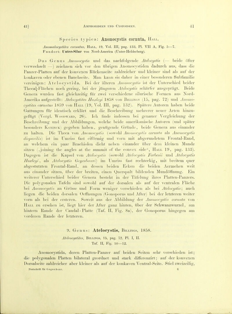 Species typica: Anomocystis cornuta, Hall. Anomalocystites cornutns, Hall, 19, Vol. Ill, pag. 133, PI. VII A, Fig. 5—7. Fundort: Unter-Siliir von Nord-America (Unter-Helderberg). Das Genus A7iuriiocy-'<tis imd das iiaclifolgende Atehcystis (— beide ofter verwecliselt —) zeiclmen sieli vor den iibrigen Anomocjstiden dadurcli aus, dass die Panzer-Platten auf der konvexen Elickenseite zalilreicher iind kleiner sind als auf der konkaven oder ebenen Banchseite. Man kaun sie dalier in einer besonderen Siibfamilie vereinigen: Atelo cysti'da. Bei der alteren Anoniocijstis ist der Unterschied beider Tiiecal-Flachen nocli gering, bei der jiingeren Atelocysiis scliarfer ausgepragt. Beide Genera wurden fast gleichzeitig fiir zwei verscliiedene silurische Formen aus Nord- Amerika aufgestellt: Atelocystifes Huxleyi l^h'^ xo\\ J^iuA^^^ii (15, pag. 72) und Anorno- cystites cornutus 1859 von Hall (19, Vol. Ill, pag. 132). Spatere Autoren haben beide Gattungen fiir identiscli erkliirt und die Beschreibung mehrerer neuer Arten hinzu- gefiigt (VergL Woodward, 26). Icli linde indessen bei genauer A'^ergleicbung der Beschreibung und der Abbildungen, Avelche beide amerikanisciie Autoren (und spater besonders Koninok) gegeben haben, geniigende Griinde, beide Genera aus einander zu halten. Die Theca von Anomocystis (sowohl Anomocystis cornuta als Anomocystis disparilis) ist im Umriss fast eifcirmig mid vorn mit abgerundetem Frontal-Eand, an welcliem ein paar Brachiolen dicht neben einander liber dem kleinen Munde sitzen (,,joining the angles at the summit of the convex side, Hall 19, pag. 133). Dagegen ist die Kapsel von Atelocystis (sowohl Atelocysiis Forhesii und Atelocystis Huxleyi ^ als Atelocystis Gegejihauri) im Umriss fast rechteckig, mit breitem quer abgestutzten Frontal-Band, an dessen beiden Ecken die beiden Aermchen weit aus einander sitzen, liber der breiten, eiiieii Querspalt bildenden Mundotfnung. Ein weiterer Unterschied beider Genera besteht in der Tiifelung ihres Platten-Panzers. Die polygonalen Tafeln sind sowohl auf der dorsalen als auf der ventralen Flache bei Anomocystis an Grosse und Form weniger verscliieden als bei Atelocystis] auch liegen die beiden dorsalen Oeffnungen (Gonoporus und After) bei der letzteren weiter vorn als bei der ersteren. Soweit aus der Abbildung der Anomocystis cornuta von FIall zu ersehen ist, liegt liier der After ganz hinten, liber der Schwanzwurzel, am hintern Bande der Caudal - Platte (Taf. II, Fig. 8a), der Gonoporus hingegen am vorderen Bande der letzteren. 9. Genus: Atelocystis, Billings, 1858. Ateleocystites, Billings, 15, pag. 72, PI. I, II. Taf. II, Fig. 10—12. Anomocystida, deren Platten-Panzer auf beiden Seiten sehr verschieden ist; die polygonalen Platten bilateral geordnet und stark difterenzirt; auf der konvexen Dorsalseite zalilreicher aber kleiner als auf der konkaven Ventral-Seite. Stiel zweizeilio- C 7 Festschrift fiir Geg^enbaur. . 6