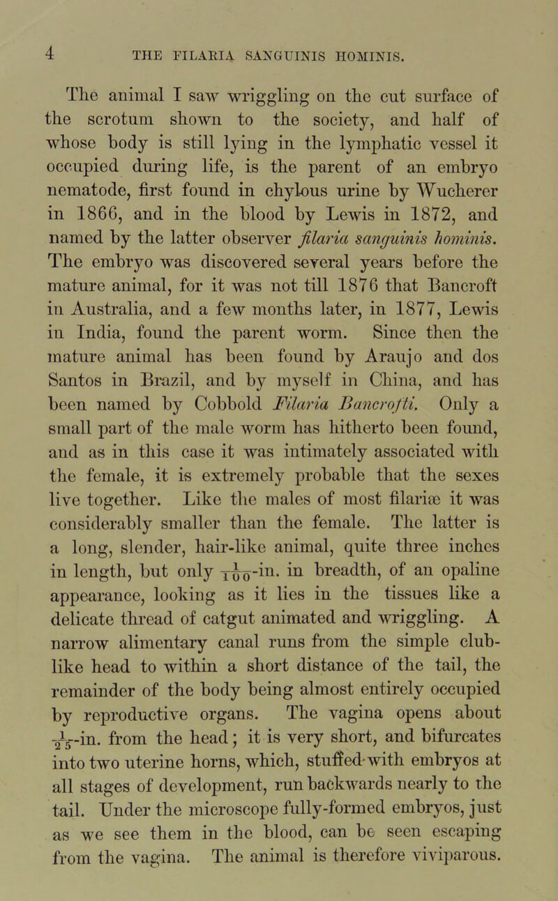 The animal I saw wriggling on the cut surface of the scrotum shown to the society, and half of whose body is still lying in the lymphatic vessel it occupied during life, is the parent of an embryo nematode, first found in chylous urine by Wuchercr in 1866, and in the blood by Lewis in 1872, and named by the latter observer filaria sanguinis hominis. The embryo was discovered several years before the mature animal, for it was not till 1876 that Bancroft in Australia, and a few months later, in 1877, Lewis in India, found the parent worm. Since then the mature animal has been found by Araujo and dos Santos in Brazil, and by myself in China, and has been named by Cobbold Filaria Bancrofts Only a small part of the male worm has hitherto been foimd, and as in this case it was intimately associated with the female, it is extremely probable that the sexes live together. Like the males of most filarim it was considerably smaller than the female. The latter is a long, slender, hair-like animal, quite three inches in length, but only Tooin. in breadth, of an opaline appearance, looking as it lies in the tissues like a delicate thread of catgut animated and wriggling. A narrow alimentary canal runs from the simple club- like head to within a short distance of the tail, the remainder of the body being almost entirely occupied by reproductive organs. The vagina opens about -ifs-in. from the head; it is very short, and bifurcates into two uterine horns, which, stuffed-with embryos at all stages of development, run backwards nearly to the tail. Under the microscope fully-formed embryos, just as we see them in the blood, can be seen escaping from the vagina. The animal is therefore viviparous.