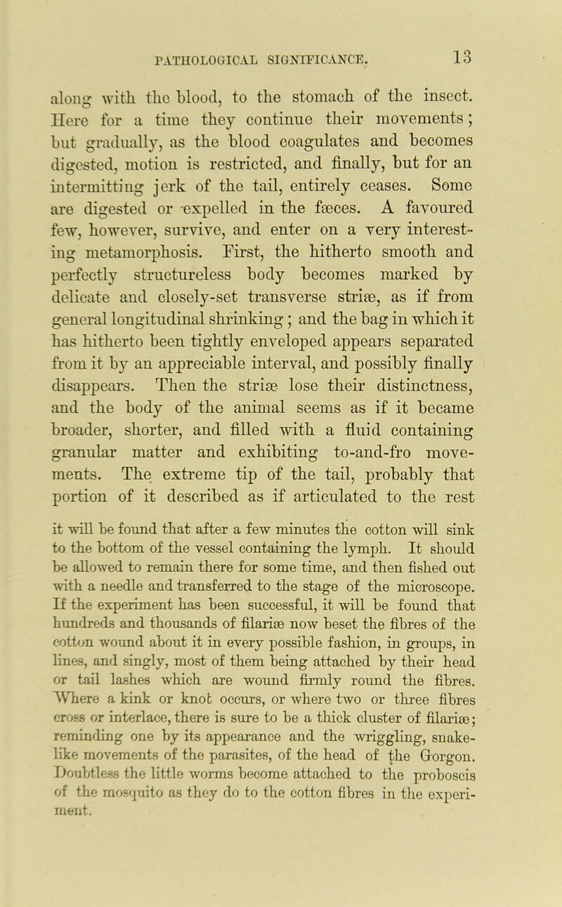 along with the blood, to the stomach of the insect. Here for a time they continue their movements; but gradually, as the blood coagulates and becomes digested, motion is restricted, and finally, but for an intermitting jerk of the tail, entirely ceases. Some are digested or expelled in the faeces. A favoured few, however, survive, and enter on a very interest- ing metamorphosis. First, the hitherto smooth and perfectly structureless body becomes marked by delicate and closely-set transverse striae, as if from general longitudinal shrinking ; and the bag in which it has hitherto been tightly enveloped appears separated from it by an appreciable interval, and possibly finally disappears. Then the striae lose their distinctness, and the body of the animal seems as if it became broader, shorter, and filled with a fluid containing granular matter and exhibiting to-and-fro move- ments. The extreme tip of the tail, probably that portion of it described as if articulated to the rest it will be found that after a few minutes the cotton will sink to the bottom of the vessel containing the lymph. It should be allowed to remain there for some time, and then fished out with a needle and transferred to the stage of the microscope. If the experiment has been successful, it will be found that hundreds and thousands of filarise now beset the fibres of the cotton wound about it in every possible fashion, in groups, in lines, and singly, most of them being attached by their head or tail lashes which are wound firmly round the fibres. Where a kink or knot occurs, or where two or three fibres cross or interlace, there is sure to be a thick cluster of filarise; reminding one by its appearance and the wriggling, snake- like movements of the parasites, of the head of the Grorgon. Doubtless the little worms become attached to the proboscis of the mosquito as they do to the cotton fibres in the experi- ment.