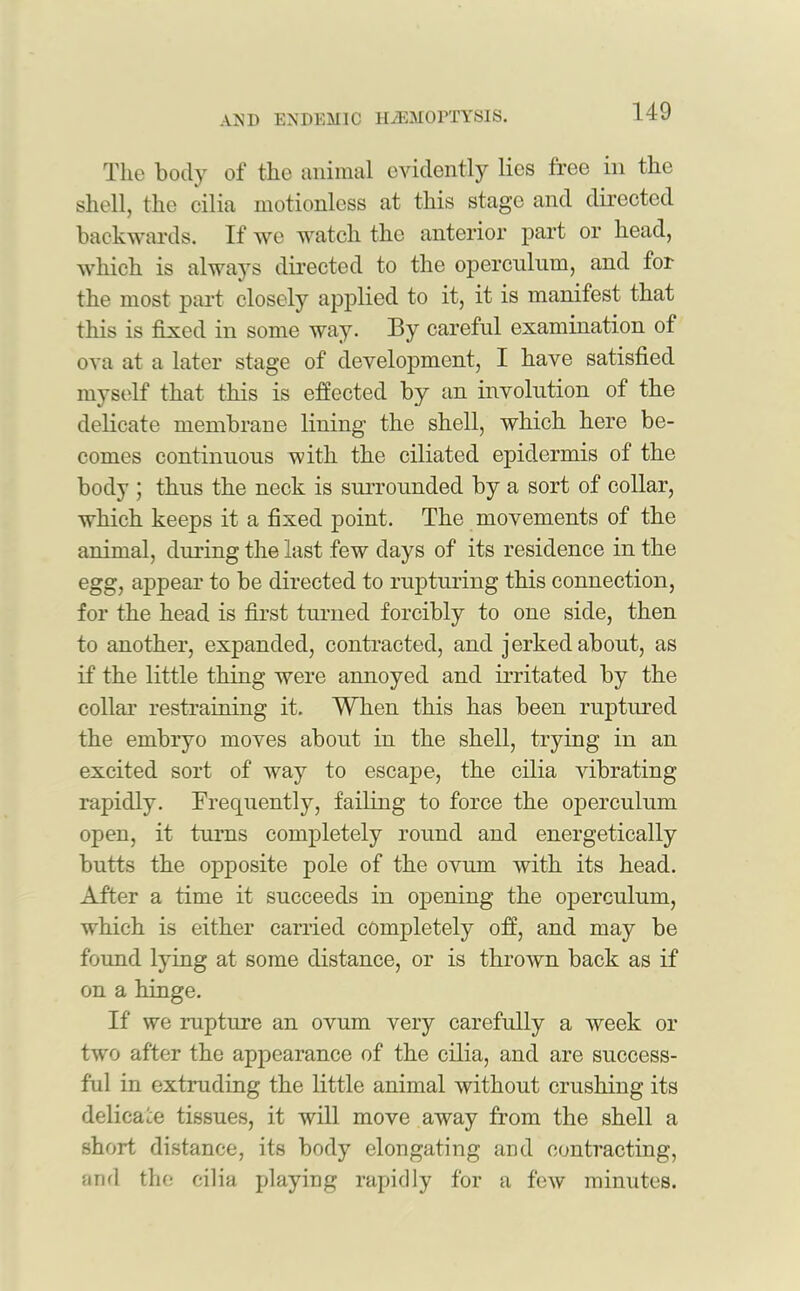 The body of the animal evidently lies free in the shell, the cilia motionless at this stage and directed backwards. If we watch the anterior part or head, which is always directed to the operculum, and for the most part closely applied to it, it is manifest that this is fixed in some way. By careful examination of ova at a later stage of development, I have satisfied myself that this is effected by an involution of the delicate membrane lining the shell, which here be- comes continuous with the ciliated epidermis of the body ; thus the neck is surrounded by a sort of collar, which keeps it a fixed point. The movements of the animal, during the last few days of its residence in the egg, appear to be directed to rupturing this connection, for the head is first turned forcibly to one side, then to another, expanded, contracted, and j erked about, as if the little thing were annoyed and irritated by the collar restraining it. When this has been ruptured the embryo moves about in the shell, trying in an excited sort of way to escape, the cilia vibrating rapidly. Frequently, failing to force the operculum open, it turns completely round and energetically butts the opposite pole of the ovum with its head. After a time it succeeds in opening the operculum, which is either carried completely off, and may be found lying at some distance, or is thrown back as if on a hinge. If we rupture an ovum very carefully a week or two after the appearance of the cilia, and are success- ful in extruding the little animal without crushing its delicate tissues, it will move away from the shell a short distance, its body elongating and contracting, and the cilia playing rapidly for a few minutes.