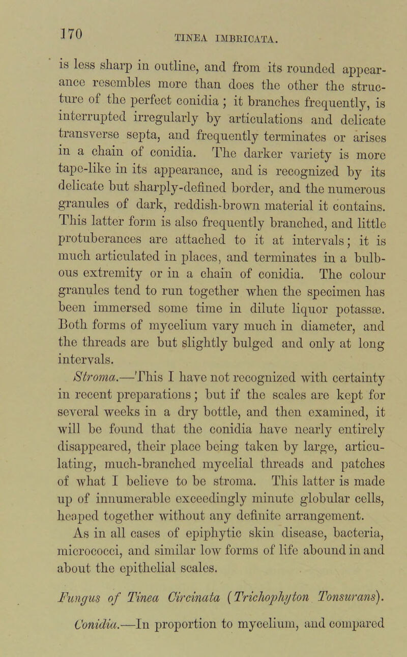 TINEA IMURICATA. is less sharp in outline, and from its rounded appear- ance resembles more than does the other the struc- ture of the perfect conidia ; it branches frequently, is interrupted irregularly by articulations and delicate transverse sejita, and frequently terminates or arises in a chain of conidia. The darker variety is more tape-like in its appearance, and is recognized by its delicate but sharply-defined border, and the numerous granules of dark, reddish-brown material it contains. This latter form is also frequently branched, and little protuberances are attached to it at intervals; it is much articulated in places, and terminates in a bulb- ous extremity or in a chain of conidia. The colour granules tend to run together when the specimen has been immersed some time in dilute liquor potassse. Both forms of mycelium vary much in diameter, and the threads are but slightly bulged and only at long intervals. Stroma.—This I have not recognized with certainty in recent preparations; but if the scales are kept for several weeks in a dry bottle, and then examined, it will be found that the conidia have nearly entirely disappeared, their place being taken by large, articu- lating, much-branched mycelial threads and patches of what I believe to be stroma. This latter is made up of innumerable exceedingly minute globular cells, heaped together without any definite arrangement. As in all cases of epiphytic skin disease, bacteria, micrococci, and similar low forms of life abound in and about the epithelial scales. Fungus of Tinea Circinata (Trichophyton Tonsurans). Conidia.—In proportion to mycelium, and compared