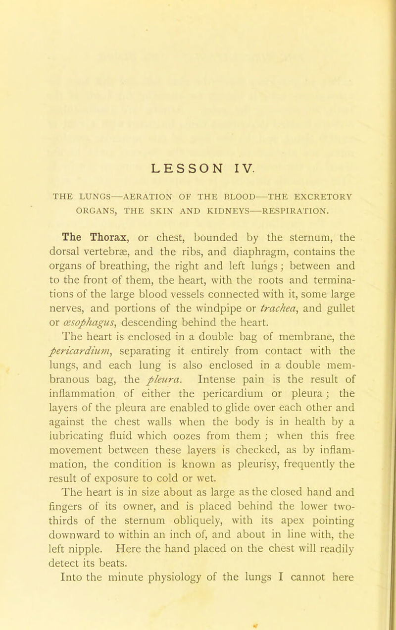 THE LUNGS—AERATION OF THE BLOOD THE EXCRETORY ORGANS, THE SKIN AND KIDNEYS RESPIRATION. The Thorax, or chest, bounded by the sternum, the dorsal vertebrae, and the ribs, and diaphragm, contains the organs of breathing, the right and left lungs; between and to the front of them, the heart, with the roots and termina- tions of the large blood vessels connected with it, some large nerves, and portions of the windpipe or trachea, and gullet or oesophagus, descending behind the heart. The heart is enclosed in a double bag of membrane, the pericardium, separating it entirely from contact with the lungs, and each lung is also enclosed in a double mem- branous bag, the pleura. Intense pain is the result of inflammation of either the pericardium or pleura; the layers of the pleura are enabled to glide over each other and against the chest walls when the body is in health by a iubricating fluid which oozes from them ; when this free movement between these layers is checked, as by inflam- mation, the condition is known as pleurisy, frequently the result of exposure to cold or wet. The heart is in size about as large as the closed hand and fingers of its owner, and is placed behind the lower two- thirds of the sternum obliquely, with its apex pointing downward to within an inch of, and about in line with, the left nipple. Here the hand placed on the chest will readily detect its beats.