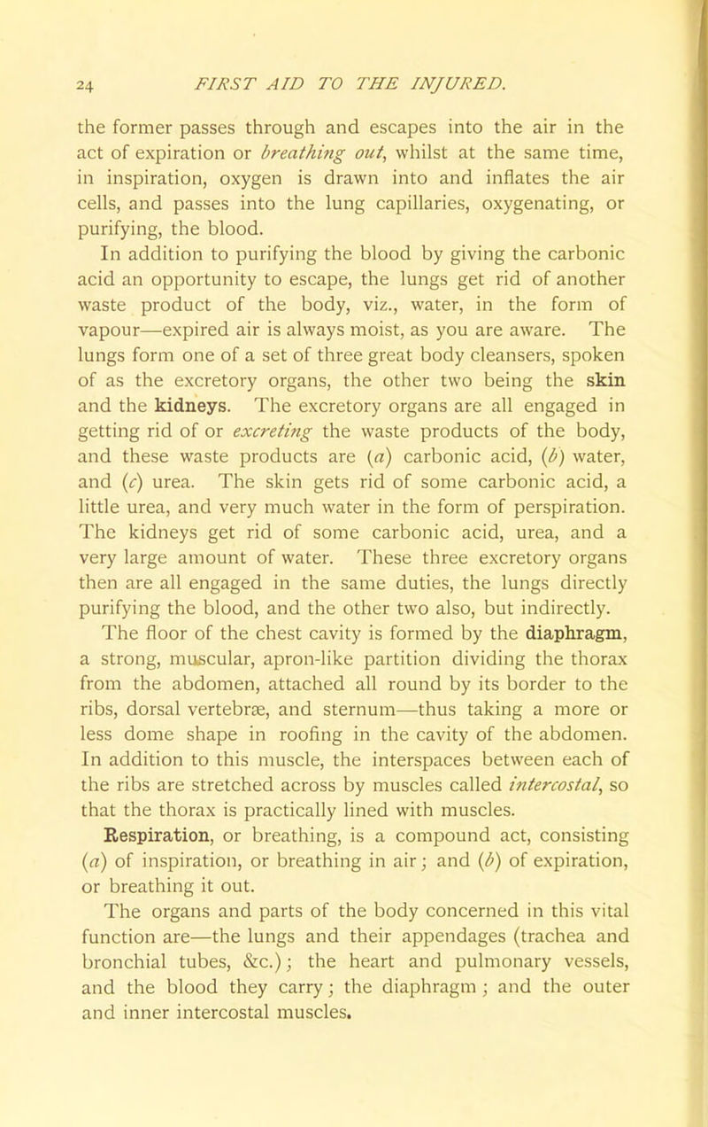 the former passes through and escapes into the air in the act of expiration or breathing out, whilst at the same time, in inspiration, oxygen is drawn into and inflates the air cells, and passes into the lung capillaries, oxygenating, or purifying, the blood. In addition to purifying the blood by giving the carbonic acid an opportunity to escape, the lungs get rid of another waste product of the body, viz., water, in the form of vapour—expired air is always moist, as you are aware. The lungs form one of a set of three great body cleansers, spoken of as the excretory organs, the other two being the skin and the kidneys. The excretory organs are all engaged in getting rid of or excreting the waste products of the body, and these waste products are (a) carbonic acid, (b) water, and (c) urea. The skin gets rid of some carbonic acid, a little urea, and very much water in the form of perspiration. The kidneys get rid of some carbonic acid, urea, and a very large amount of water. These three excretory organs then are all engaged in the same duties, the lungs directly purifying the blood, and the other two also, but indirectly. The floor of the chest cavity is formed by the diaphragm, a strong, muscular, apron-like partition dividing the thorax from the abdomen, attached all round by its border to the ribs, dorsal vertebrae, and sternum—thus taking a more or less dome shape in roofing in the cavity of the abdomen. In addition to this muscle, the interspaces between each of the ribs are stretched across by muscles called intercostal, so that the thorax is practically lined with muscles. Respiration, or breathing, is a compound act, consisting (a) of inspiration, or breathing in air; and (b) of expiration, or breathing it out. The organs and parts of the body concerned in this vital function are—the lungs and their appendages (trachea and bronchial tubes, &c.); the heart and pulmonary vessels, and the blood they carry; the diaphragm ; and the outer and inner intercostal muscles.