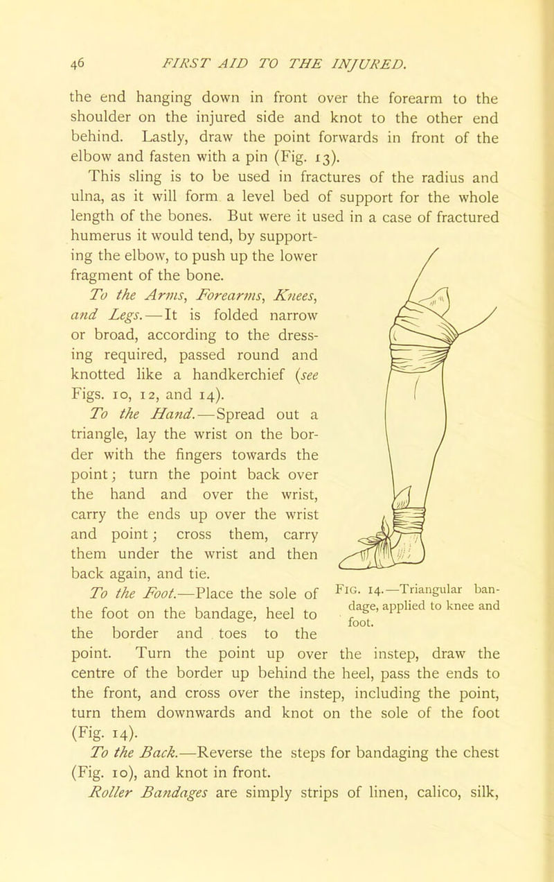 the end hanging down in front over the forearm to the shoulder on the injured side and knot to the other end behind. Lastly, draw the point forwards in front of the elbow and fasten with a pin (Fig. 13). This sling is to be used in fractures of the radius and ulna, as it will form a level bed of support for the whole length of the bones. But were it used in a case of fractured humerus it would tend, by support- ing the elbow, to push up the lower fragment of the bone. To the Anns, Forearms, Knees, and Legs.—It is folded narrow or broad, according to the dress- ing required, passed round and knotted like a handkerchief (see Figs. 10, 12, and 14). To the Hand. — Spread out a triangle, lay the wrist on the bor- der with the fingers towards the point; turn the point back over the hand and over the wrist, carry the ends up over the wrist and point; cross them, carry them under the wrist and then back again, and tie. To the Foot.—Place the sole of FlG- 14--Triangular ban- .1 c ,, 1 1 1 , . dape, applied to knee and the foot on the bandage, heel to ■ r ' foot. the border and toes to the point. Turn the point up over the instep, draw the centre of the border up behind the heel, pass the ends to the front, and cross over the instep, including the point, turn them downwards and knot on the sole of the foot (Fig. 14)- To the Back.—Reverse the steps for bandaging the chest (Fig. 10), and knot in front. Roller Bandages are simply strips of linen, calico, silk,