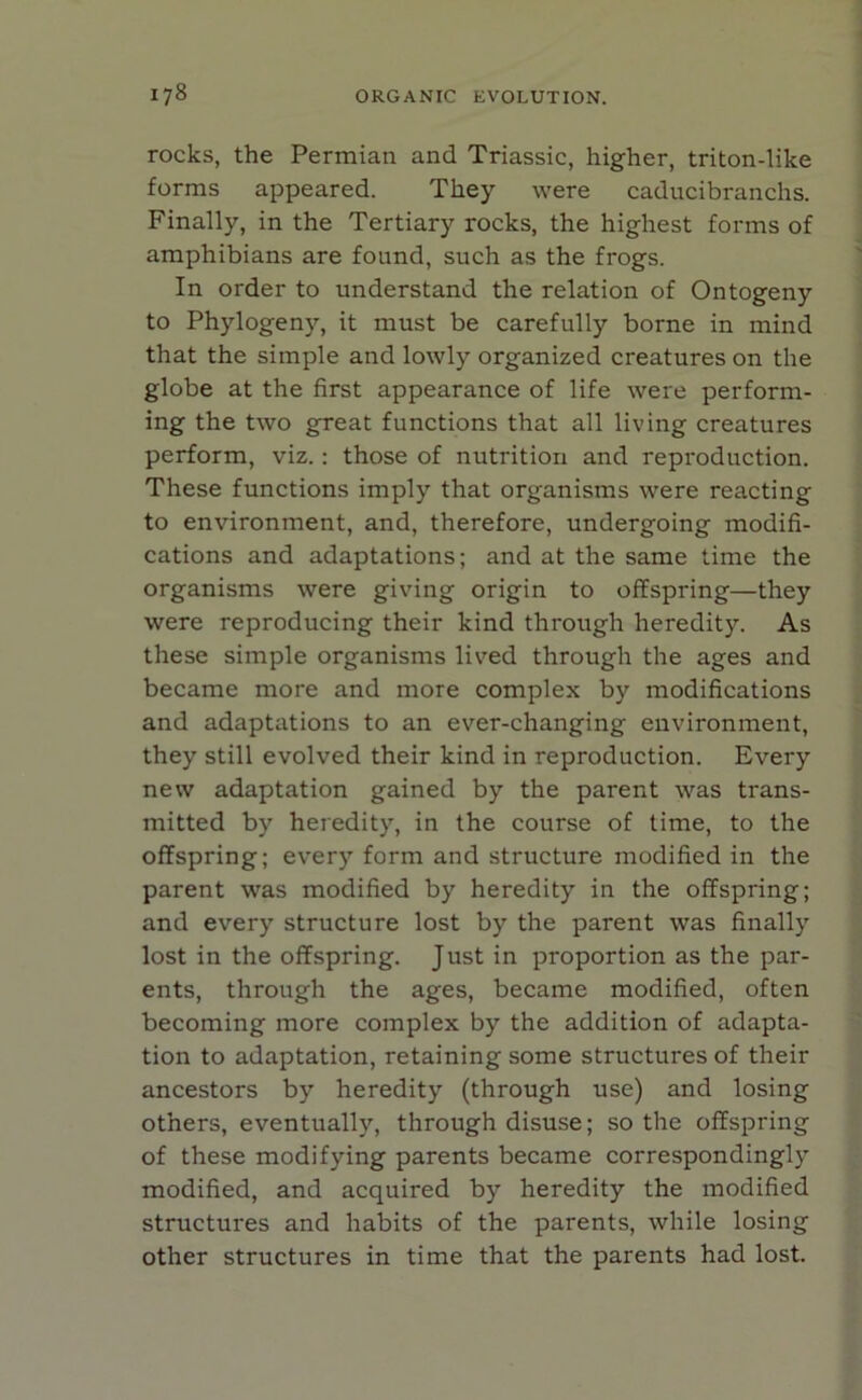 rocks, the Permian and Triassic, higher, triton-like forms appeared. They were caducibranchs. Finally, in the Tertiary rocks, the highest forms of amphibians are found, such as the frogs. In order to understand the relation of Ontogeny to Phylogeny, it must be carefully borne in mind that the simple and lowly organized creatures on the globe at the first appearance of life were perform- ing the two great functions that all living creatures perform, viz. : those of nutrition and reproduction. These functions imply that organisms were reacting to environment, and, therefore, undergoing modifi- cations and adaptations; and at the same time the organisms were giving origin to offspring—they were reproducing their kind through heredity. As these simple organisms lived through the ages and became more and more complex by modifications and adaptations to an ever-changing environment, they still evolved their kind in reproduction. Every new adaptation gained by the parent was trans- mitted by heredity, in the course of time, to the offspring; every form and structure modified in the parent was modified by heredity in the offspring; and every structure lost by the parent was finally lost in the offspring. Just in proportion as the par- ents, through the ages, became modified, often becoming more complex by the addition of adapta- tion to adaptation, retaining some structures of their ancestors by heredity (through use) and losing others, eventually, through disuse; so the offspring of these modifying parents became correspondingly modified, and acquired by heredity the modified structures and habits of the parents, while losing other structures in time that the parents had lost.