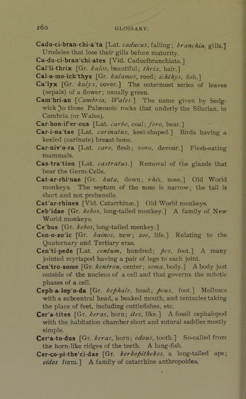 Cadu-ci-bran-chi-a'ta [Lat. caducus, falling; branchia, gills.] Urodeles that lose their gills before maturity. Ca-du-ci-bran’chi-ates [Vid. Caducibranchiata.] Cal'li-thrix [Gr. kalos, beautiful; t/irix, hair.] Cal-a-mo-ich'thys [Gr. ka/amos, reed; ichthys, fish.] Ca'lyx [Gr. kalyx, cover.] The outermost series of leaves (sepals) of a flower; usually green. Cam'bri-an [Cambria, Wales.} The name given by Sedg- wick [to those Palaeozoic rocks that underly the Silurian, in Cambria (or Wales). Car bon-if'er-ous [Lat. carbo, coal\fero, bear.] Car-i-na'tae [Lat. carinatus, keel-shaped ] Birds having a keeled (carinate) breast bone. Car-niv'o-ra [Lat. caro, flesh; voro, devour.] Flesh-eating mammals. Cas tra'tion [Lat. cas/ratus.] Removal of the glands that bear the Germ-Cells. Cat-ar-rhi'nae [Gr. kata, down; rhis, nose.] Old World monkeys. The septum of the nose is narrow; the tail is short and not prehensile. Cat'ar-rhines [Vid. Catarrhinae.] Old World monkeys. Ceb'idae [Gr. kebos, long-tailed monkey.] A family of New World monkeys. Ce'bus [Gr. kebos, long-tailed monkey.] Cen-o-zo'ic [Gr. kainos, new; zoe, life.] Relating to the Quaternary and Tertiary eras. Cen'ti-pede [Lat centum, hundred; pes, foot.] A many jointed myriapod having a pair of legs to each joint. Cen tro some [Gr. kentron, center; soma, body.] A body just outside of the nucleus of a cell and that governs the mitotic phases of a cell. Ceph-a-lop'o-da [Gr. kephale, head; pous, foot.] Molluscs with a subcentral head, a beaked mouth, and tentacles taking the place of feet, including cuttlefishes, etc. Cer'a-tites [Gr. keras, horn; ties, like.] A fossil cephalopod with the habitation chamber short and sutural saddles mostly simple. Cer'a-to-dus [Gr. keras, horn; odous, tooth.] So-called from the horn-like ridges of the teeth. A lung-fish. Cer-co-pi-the'ci-dae [Gr. kerkopithekos, a long-tailed ape; etdos form.] A family of catarrhine anthropoidea.