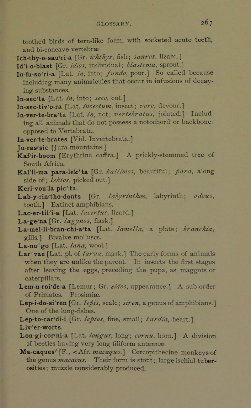 toothed birds of tern-like form, with socketed acute teeth, and bi-concave vertebrae Ich-thy-o-sau'ri-a [Gr. ichthys, fish; scinros, lizard.] Id'i-o-blast [Gr. idios, individual; blastema, sprout.] In-fu-so'ri-a [Lat. in, into; fundo, pour.] So called because including many animalcules that occur in infusions of decay- ing substances. In-sec'ta [Lat. in, into; seco, cut.] In-sec-tiv'o-ra [Lat. insectum, insect; voro, devour.] In-ver-te-bra'ta [Lat. in, not; vertebratus, jointed.] Includ- ing all animals that do not possess a notochord or backbone: opposed to Vertebrata. In-ver'te-brates [Vid. Invertebrata.] Ju-ras'sic [Jura mountains.] Kaf'ir-boom [Erythrina caffra.] A prickly-stemmed tree of South Africa. Kal’li-ma para-lek'ta [Gr. kallimos, beautiful; para, along side of; lektos, picked out.] Keri-vou’la pic'ta. Lab-y-rin'tho-donts [Gr. labyrinthos., labyrinth; odous, tooth.] Extinct amphibians. Lac-er-til'i-a [Lat. lacertus, lizard.] La-ge'na [Gr. lagynos, flask.] La-mel-li-bran-chi-a'ta [Lat. lamella, a plate; branchia, gills.] Bivalve molluscs. La-nu'go [Lat. lana, wool.] Lar'vae [Lat. pi. of larva, mask.] The early forms of animals when they are unlike the parent. In insects the first stages after leaving the eggs, preceding the pupa, as maggots or caterpillars. Lem-u-roi'de-a [Lemur; Gr. eidos, appearance.] A suborder of Primates. Prosimiae. Lep-i-do-si'ren [Gr. lepis, scale; siren, a genus of amphibians.] One of the lung-fishes. Lep-to-car'di-i [Gr. leptos, fine, small; kardia, heart.] Liv'er-worts. Lon-gi-cor'ni-a [Lat. longus, long; cor tin, horn.] A division of beetles having very long filiform antennae. Ma-caques'[F., < Afr. tnacaquo.] Cercopithecine monkeys of the genus macacus. Their form is stout; large ischial tuber- osities : muzzle considerably produced.