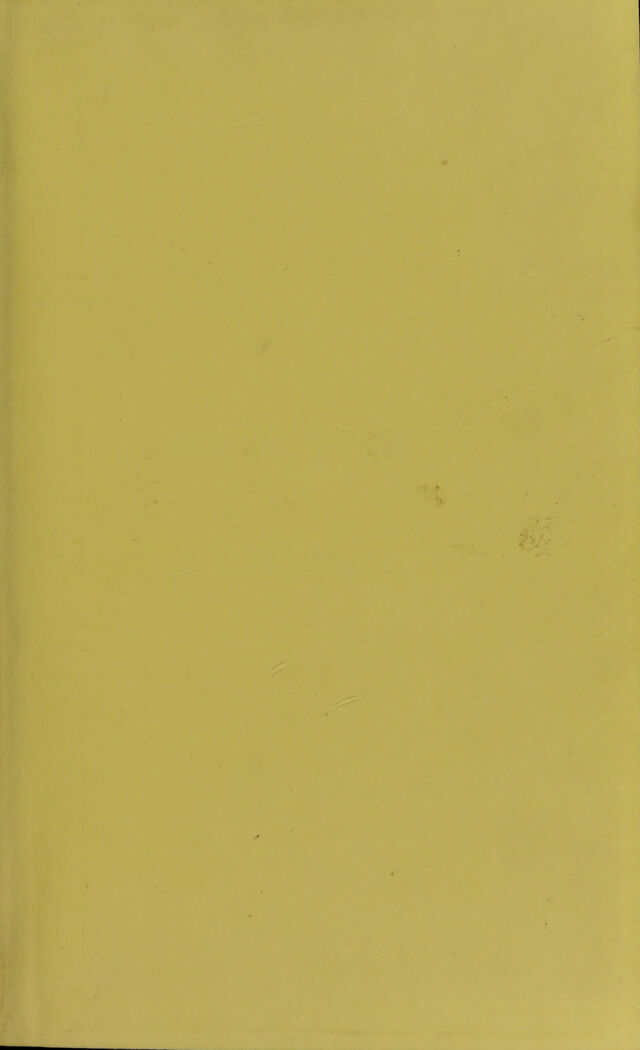 digitised image 3
