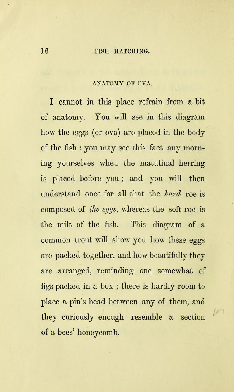 ANATOMY OF OYA. I cannot in this place refrain from a bit of anatomy. You will see in this diagram how the eggs (or ova) are placed in the body of the fish : you may see this fact any morn- ing yourselves when the matutinal herring is placed before you; and you will then understand once for all that the hard roe is composed of the eggs, whereas the soft roe is the milt of the fish. This diagram of a common trout will show you how these eggs are packed together, and how beautifully they are arranged, reminding one somewhat of figs packed in a box ; there is hardly room to place a pin's head between any of them, and they curiously enough resemble a section of a bees' honeycomb.