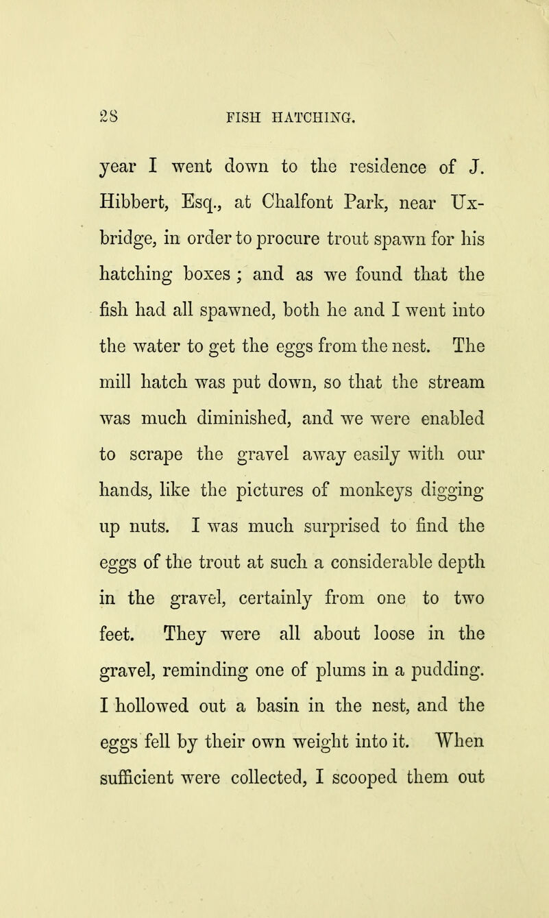 year I went down to the residence of J. Hibbert, Esq., at Chalfont Park, near Ux- bridge, in order to procure trout spawn for his hatching boxes ; and as we found that the fish had all spawned, both he and I went into the water to get the eggs from the nest. The mill hatch was put down, so that the stream was much diminished, and we were enabled to scrape the gravel away easily with our hands, like the pictures of monkeys digging up nuts. I was much surprised to find the eggs of the trout at such a considerable depth in the gravel, certainly from one to two feet. They were all about loose in the gravel, reminding one of plums in a pudding. I hollowed out a basin in the nest, and the eggs fell by their own weight into it. When sufficient were collected, I scooped them out