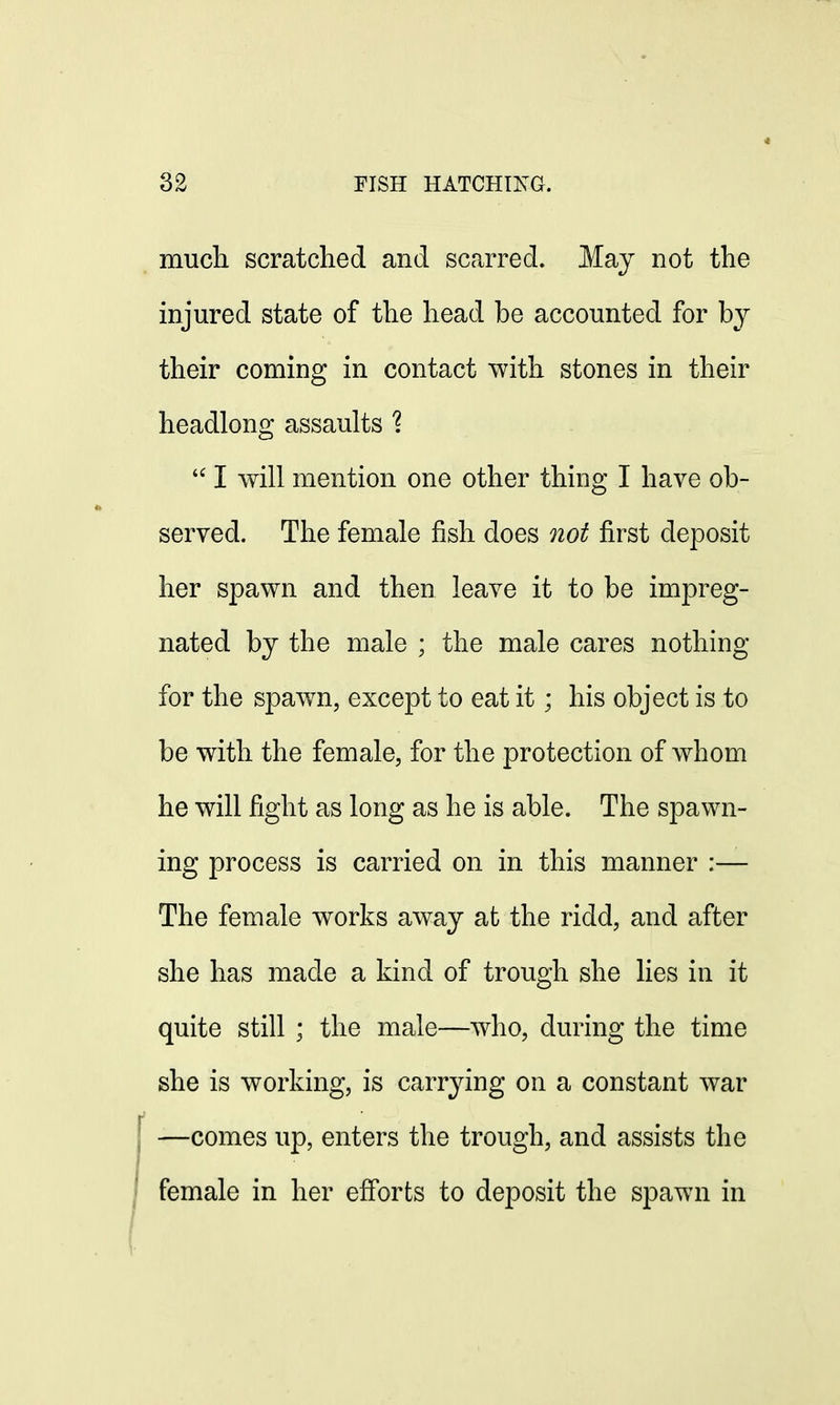 much scratched and scarred. May not the injured state of the head be accounted for by their coming in contact with stones in their headlong assaults %  I will mention one other thing I have ob- served. The female fish does not first deposit her spawn and then leave it to be impreg- nated by the male ; the male cares nothing for the spawn, except to eat it; his object is to be with the female, for the protection of whom he will fight as long as he is able. The spawn- ing process is carried on in this manner :— The female works away at the ridd, and after she has made a kind of trough she lies in it quite still ; the male—who, during the time she is working, is carrying on a constant war —comes up, enters the trough, and assists the female in her efforts to deposit the spawn in