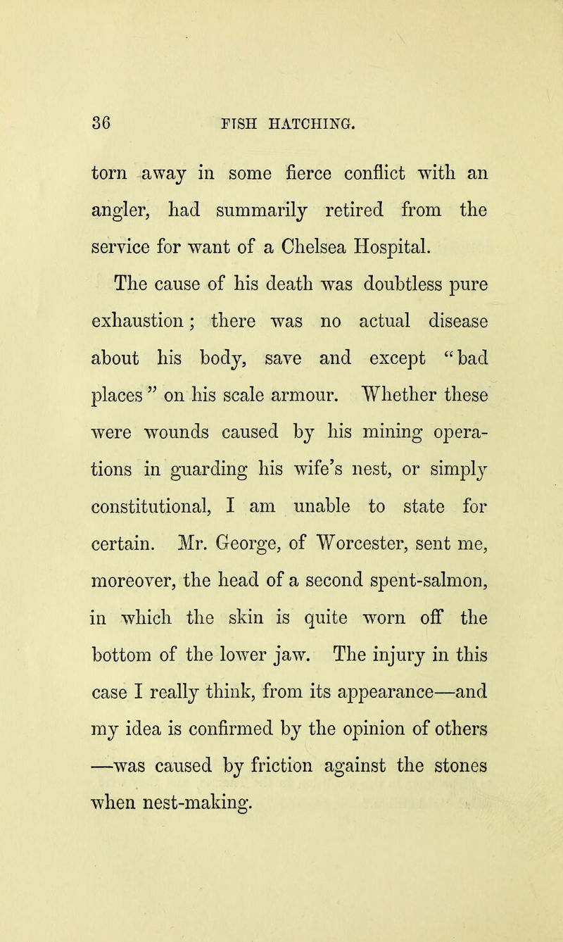 torn away in some fierce conflict with an angler, had summarily retired from the service for want of a Chelsea Hospital. The cause of his death was doubtless pure exhaustion; there was no actual disease about his body, save and except bad places  on his scale armour. Whether these were wounds caused by his mining opera- tions in guarding his wife's nest, or simply constitutional, I am unable to state for certain. Mr. George, of Worcester, sent me, moreover, the head of a second spent-salmon, in which the skin is quite worn off the bottom of the lowrer jaw. The injury in this case I really think, from its appearance—and my idea is confirmed by the opinion of others —was caused by friction against the stones when nest-making.