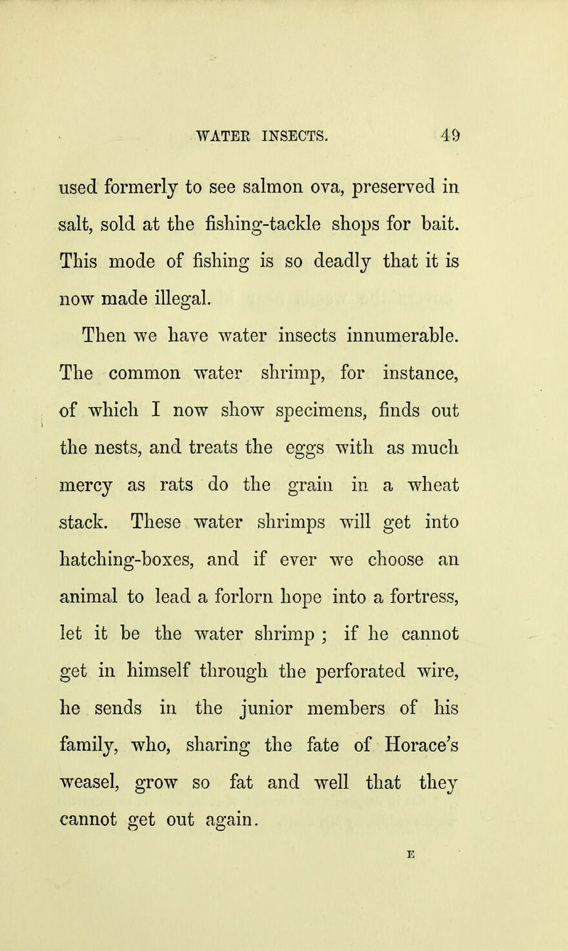 used formerly to see salmon ova, preserved in salt, sold at the fishing-tackle shops for bait. This mode of fishing is so deadly that it is now made illegal. Then we have water insects innumerable. The common water shrimp, for instance, of which I now show specimens, finds out the nests, and treats the eggs with as much mercy as rats do the grain in a wheat stack. These water shrimps will get into hatching-boxes, and if ever we choose an animal to lead a forlorn hope into a fortress, let it be the water shrimp ; if he cannot get in himself through the perforated wire, he sends in the junior members of his family, who, sharing the fate of Horace's weasel, grow so fat and well that they cannot get out again. E