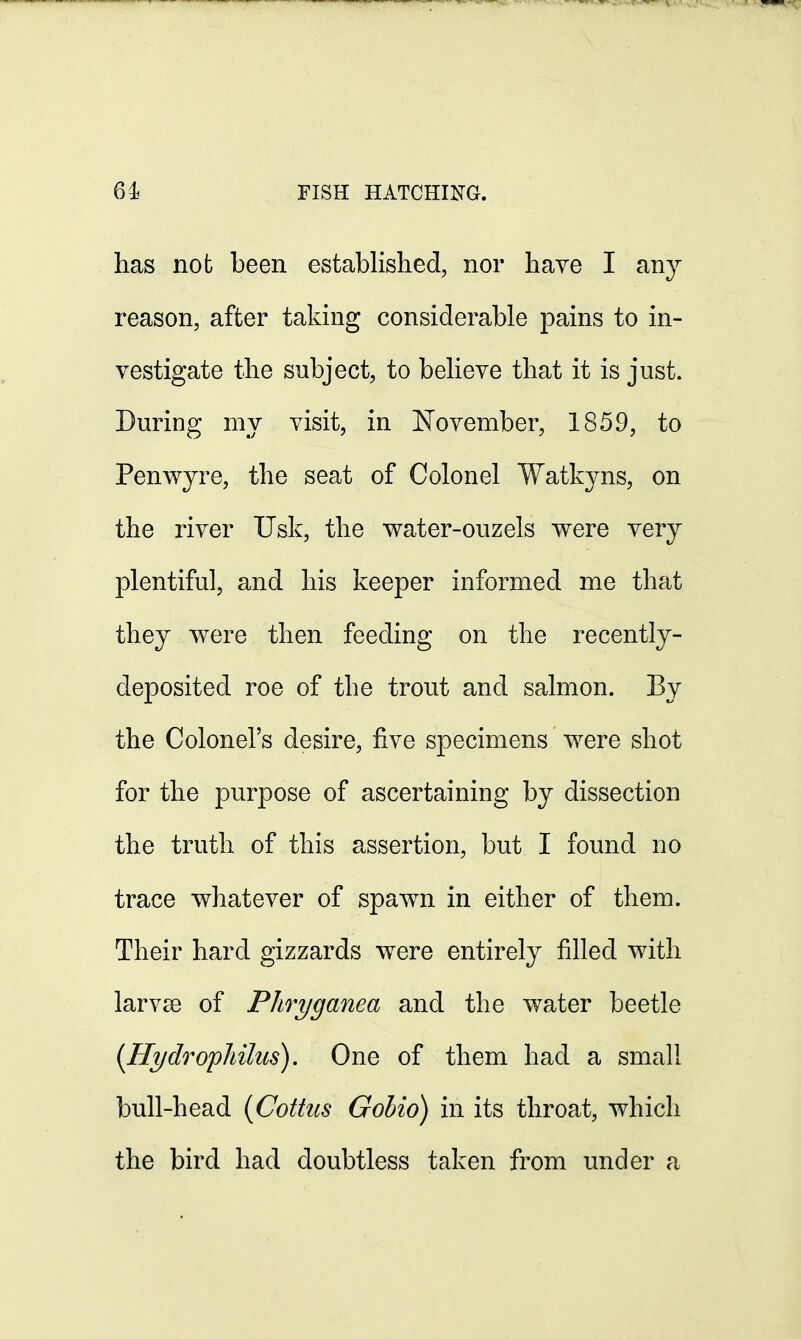 has not been established, nor have I any reason, after taking considerable pains to in- vestigate the subject, to believe that it is just. During my visit, in November, 1859, to Penwyre, the seat of Colonel Watkyns, on the river Usk, the water-ouzels were very plentiful, and his keeper informed me that they were then feeding on the recently- deposited roe of the trout and salmon. By the Colonel's desire, five specimens were shot for the purpose of ascertaining by dissection the truth of this assertion, but I found no trace whatever of spawn in either of them. Their hard gizzards were entirely filled with larvaa of Phryganea and the water beetle (Hydropliilus). One of them had a small bull-head (Cottus Gobio) in its throat, which the bird had doubtless taken from under a
