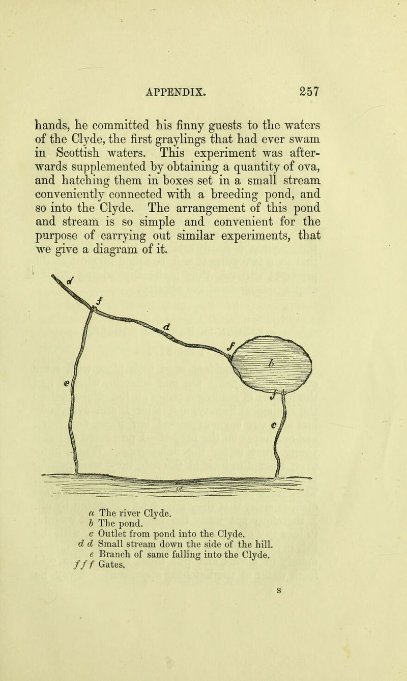 hands, he committed his finny guests to the waters of the Clyde, the first graylings that had ever swam in Scottish waters. This experiment was after- wards supplemented by obtaining a quantity of ova, and hatching them in boxes set in a small stream conveniently connected with a breeding pond, and so into the Clyde. The arrangement of this pond and stream is so simple and convenient for the purpose of carrying out similar experiments, that we give a diagram of it. a The river Clyde. b The pond. c Outlet from pond into the Clyde. d d Small stream down the side of the hill. e Branch of same falling into the Clyde. fff Gates. s