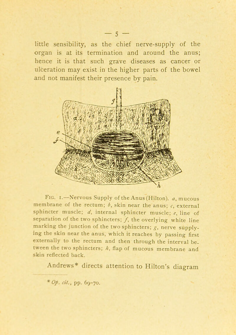 little sensibility, as the chief nerve-supply of the organ is at its termination and around the anus; hence it is that such grave diseases as cancer or ulceration may exist in the higher parts of the bowel and not manifest their presence by pain. Fig. I.—Nervous Supply of the Anus (Hilton), a, mucous membrane of the rectum; b, skin near the anus; c, external sphincter muscle; d, internal sphincter muscle; e, line of separation of the two sphincters; /, the overlying white line marking the junction of the two sphincters; g, nerve supply- ing the skin near the anus, which it reaches by passing first externally to the rectum and then through the interval be- tween the two sphincters; h, flap of mucous membrane and skin reflected back. Andrews* directs attention to Hilton’s diagram * Op. cit., pp. 69-70.