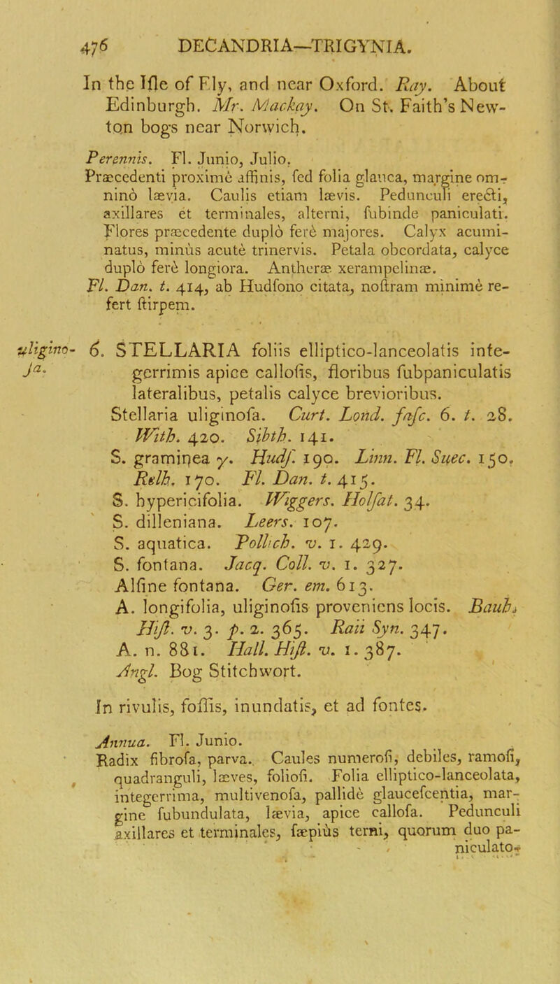 In the Ifle of Ely, and near Oxford. Ray. About Edinburgh. Mr. Mackay. On St. Faith’s New- ton bogs near Norwich. Perennis. FI. Junio, Julio. Praecedenti proxime affinis, fed folia glanca, margine omr nino laeyia. Caulis etiam laevis. PeduncuTi eredli, axillares et termiuales, alterni, fiibinde paniculati. Flores praecedente duplo ferb majores. Calyx acumi- natus, minus acute trinervis. Petala obcordata, calyce duplo fei'(^ longiora. Antherae xerampclinae. F/. Dan. t. 414, ab Hudfono citata^ noftram minime re- fert rtirpeni. 6. STELLARIA foliis elliptico-lanceolatis infe- gerrimis apice callobs, floribus fubpaniculatis lateralibus, petalis calyce brevioribus. Stellaria uliginofa. Ciiri. Loud. fafe. 6. t. 28. IVith. Sihth. \^i. S. gramipea y. Hud/. 199. Lhm. FI. Suec. 150. Rglh. 170. F7. Dan. ^.415. S. hypericifolia. kFiggers. Hol/at. 34. S. dilleniana. Ijeers. 107. S. aqiiatica. Polheh. v. 1. 429. S. fontana. Jac^. Coll. v. 1. 327. Alfine fontana. Ger. em. 613. A. longifolia, uliginotis proveniens locis. Bauhj Hijl. 3- 7>. 2. 365. Rail Syn. 347. A. n. 881. Hall. Hiji. V. 1.387. Hngl. Bog Stitch wort. In rivuliSj foffis, inundatis, et ad fontes- Annua. FI. Junio. Radix fibrofa, parva., Caules numerofi, debiles, ramoli, quadranguli, laives, foliofi. Folia elliptico-lanceolata, integerrima, multivenofa, pallide glaucefcentia, mar- gine fubundulata, Ijevia, apice callofa. Pedunculi axillares et terminales, faepiiis terni, quorum duo pa- niculatq^