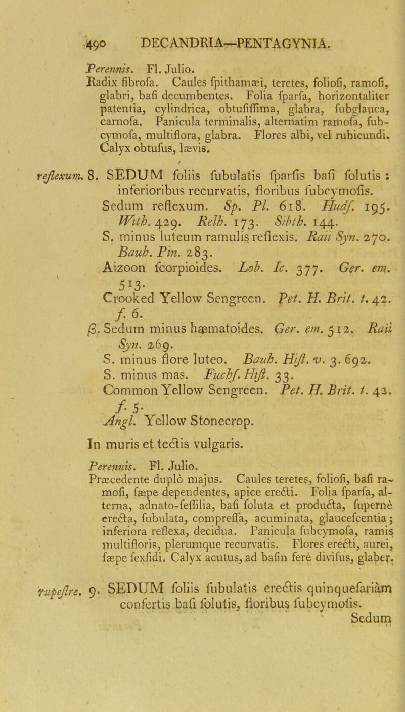 Verenrus, FI. Julio. Radix fibrofa. Caules fpithamaci, teretes, foliofi, ramofi, glabrij ball decumbentes. Folia fparfa, horizontaliler patentia, cylindrica, obtufiflima, glabra, fubgiauca, carnofa. Panicula terminalis, alternatim ramol’a, fub- cymofa, multiflora, glabra. Flores albi, vel rubicundi. Calyx obtufus, laevis. / rejlexum.%. SEDUM folds fubulatis fparfis bail folutis : inferioribiis recurvatis, floribus llibrymofis. Sedum reflexum. Sp. PL 6i8. Hudf. 195. Relh. 173. Sihth. 144. S. minus luteum ramulis rellexis. Rail Syn. 270. Bauh. Pm. 283. Aizoon fcorpioides. Loh. Ic. 377. G<?r. em. 513- Crooked Yellow Sengrccn. Pet. H. Brit. /. 42. /• _ Sedum minus hgpmatoides. Ger. em. ^11. Rail Syn. 269. S. minus flore luteo. Bauh. Hift. v. 3. 692. S. minus mas. Fuchf. Htji. 33. Common Yellow Sengreen. Pel. H. Brit. t. 42. /• 5- Angl. Yellow Stonecrop. In muris et tedlis vulgaris. Perennis. FI. Julio. Praecedente duplo majus. Caules teretes, foliofi, ball ra- mofi, faepe dependentes, apice eredli. Folia fparfa, al- tema, adnato-fedilia, bafi foluta et produdta, fupcrne eredta, fubulata, comprelTa, acuminata, glaucefcentia; inferiora reflexa, decidua. Panicula fubcymofa, ramis multifloris, plerumque recim^alis. Flores eredli, aurel, faepe fexfidi. Calyx acutus, ad bafin fere divifus, glaber. fupejlre. 9* SEDUM foliis fubulatis eredfis quinquefariam confcrtis baft folutis, floribus fubcymofls. ' ’ Sedum