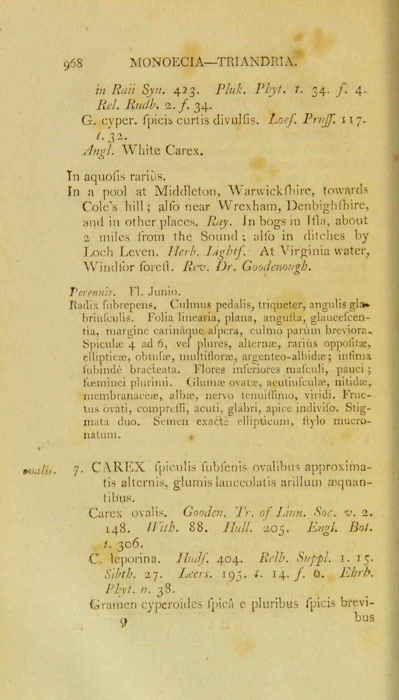 9^8 in Rail Syn. 423. Pink. Phyt. i. 34. f. 4. Rel. Rudb. i.f. 34. G. cvpcr. fpicis curtis divulfis. Loef. Prujf. 117. ^.32. _ udnpl. White Carcx. o Tn aquofis rarius. In a pool at Middleton, Warwickshire, towards Cole’s hill; alfo near Wrexham, Denbighfhire, and in other places. Ray. Jn bogs in Ida, about 2 miles from the Sound ; alfo in ditches by Loch Lcvcn. Herb. Idghtf. At Virginia water, Windlbr foretl. Rev. Dr. Goodenough. Perennh. FI. Junio. Radix fubrepens. Cuhnus pcdalis, triqueter, angulis gia* briufeulis. Folia linearia, plana, angufta, glaucefcen- tia, n.iarginc carinaque afpera, culrao parum breviora- Spiculsc 4 ad 6, vel plures, alternae, rarius oppolitre, ellipticae, obtufse, niultiflorae, argenteo-albidre; infima tuhinde brafleata. Flores inferiores mal'culi, pauci; feeminei plurimi. Glunue ova tie, acutiufculae, nit.idie, ruembranaeeae, albse, nerve tenuiflimo, viridi. Frnc- lus ovati, eompretli, acuti, glabri, apice indiviio. Stig- mata duo. Semen exatte ellipticum, Itylo mucro- natum. . vaalis. 7. C VREX fpiculis fubfenis ovalibus approxima- tis alternis, glumis lanceolutis arillum aeqaan- tibus. Carex ovalis. Gooden. Tr. of Linn. Soc. v. 2. 148. U'iih. 88. JIull. 205. Engl. Bot. . t. 306. C, leporina. Hudf. 404. Relh. Snfpl. 1. 15. Si bib. 27. Leers. 195. t. 14./. 0. Ehrb. Phyt. n. 38. Gramen cyperoides fpicA e pluribus fpicis brevi-