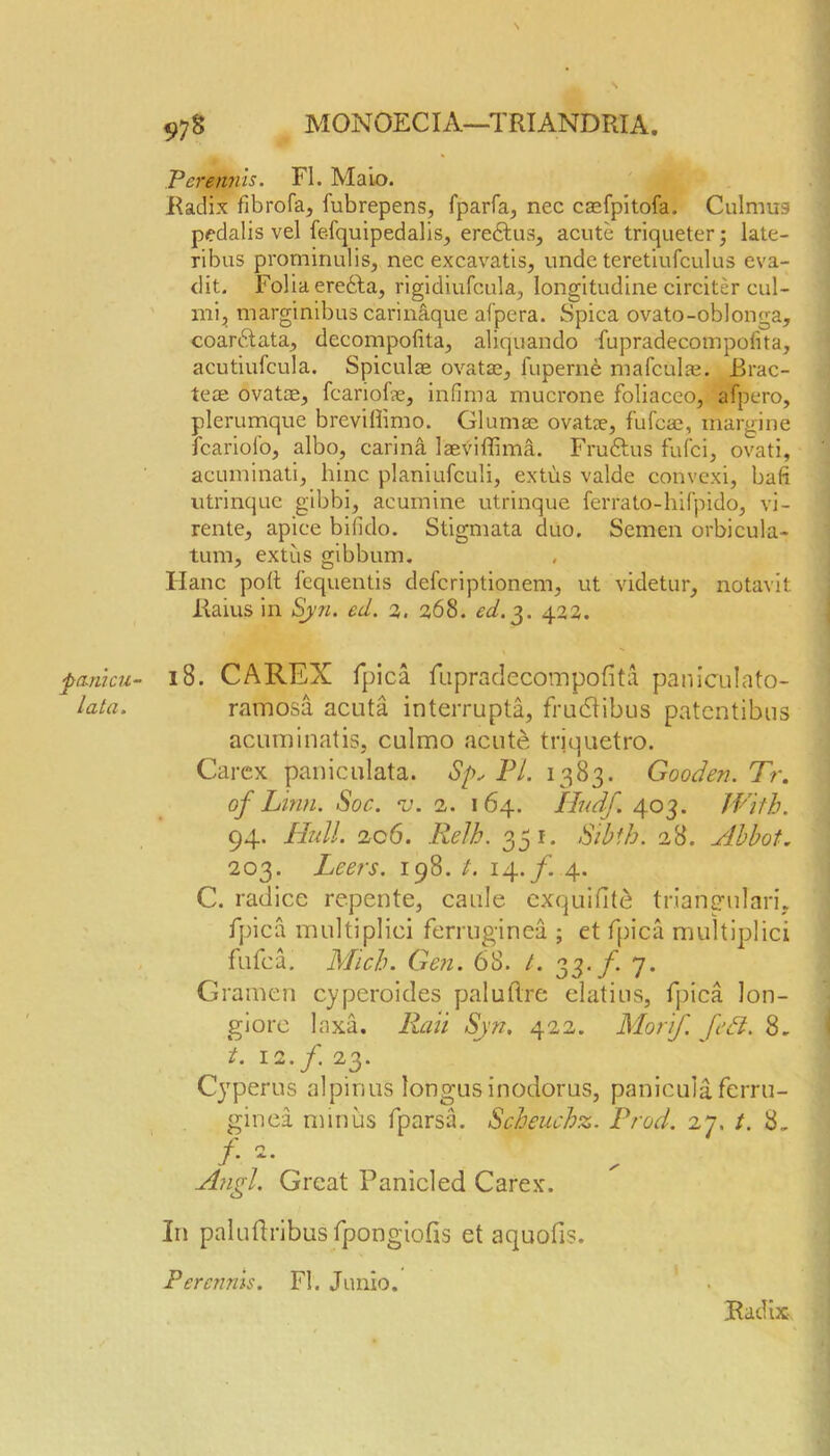 panicu- lata. Perefints. FI. Maio. Radix fibrofa* fubrepens, fparfa, nec caefpitofa. Culmug pedalis vel fe-fquipedalis, eredtus, acute triqueter; late- ribus prominulis, nec excavatis, unde teretiufculus cva- dit. Folia erebta, rigidiufcula, longitudine circiter cul- mi, marginibus carinaque afpcra. Spica ovato-oblonga, coarbtata, decompolita, aliquando fupradecompofita, acutiufcula. Spiculse ovatae., luperne mafculae. Brac- teae ovatae, fcariofe, infima mucrone foliaceo, afpero, plerumque breviflimo. Glumse ovatae, fufcae, margine fcariofo, albo, carina laeviflima. Fruftus fufci, ovati, acuminati, hinc planiufculi, extus valde convexi, baft utrinquc gibbi, acumine utrinque ferrato-hifpido, vi- rente, apiee bilido. Stigmata duo. Semen orbicula- tum, extus gibbum. Hanc poll fequentis defcriptionem, ut videtur, notavit Raius in Syn. ecL. 2. 268. ed.%. 42a. 18. CAREX fpica fupradecompofita paniculato- rathosa acuta interrupts, frudtibus patcntibus acuminatiSj culmo acute trjquetro. Carex paniculata. Sp, PI. 1383. Gooden. Tr. of Linn. Soc. v. 2. 164. Iludf. 403. With. 94. Hull. 206. Relh. 351. Sibth. 28. Abbot. 203. Leers. 198. t. 14./. 4. C. radice repente, caule exquifite triangulari. fpica multiplici ferruginea ; et fpica multiplici fufca. Mich. Gen. 68. /. 3 3. jf. 7. Gramen cyperoides paluftre elatitis, fpica lon- giore laxa. Ran Syn. 422. Morif. [eft. 8, i. 11. f. 23. Cyperus alpinus longusinodorus, paniculaferru- ginea minus fparsa. Scheuchz. Prod. 27, t. 8, /• ^ Angl. Great Panicled Carex. In paluflribus fpongiofis et aquofis. Perenms. FI. Junio. Radix