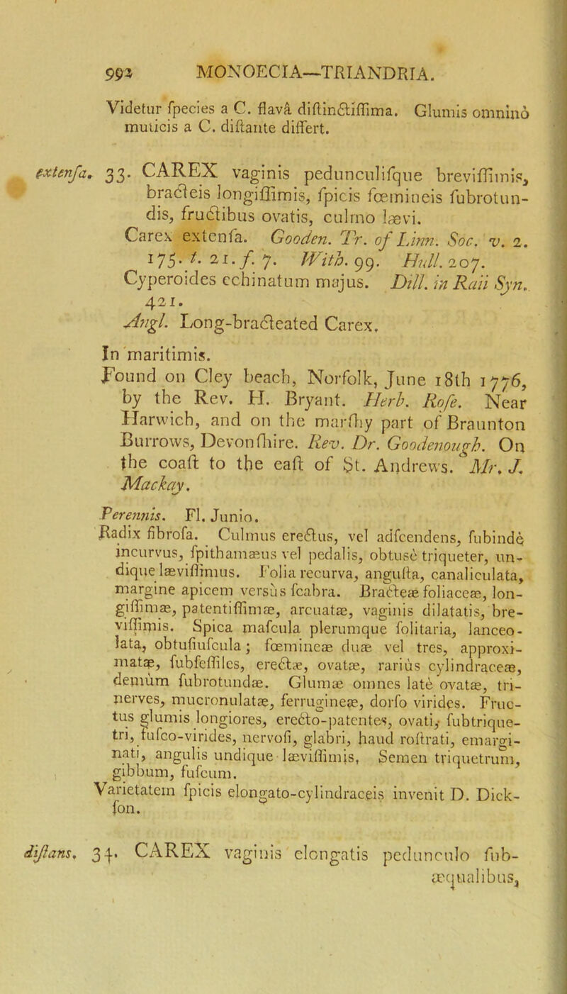 Videtur fpecies a C. flava difhn&iflima. Glumis omnino muticis a C. diftante differt. fxtmfar 33. CAREX vaginis pedunculifque breviflhnis, bracleis longifiimis, fpicis fcemineis fubrotun- dis, frudtibus ovatis, culrno laevi. Carex extcnfa. Gooden. rFr. oj Firm. Soc. v. 2. ^ 175-/* 7. With. 99. Hull. 207. Cyperoides cchinatum majus. /)?//. in Rail Sjn. 421. ^7/£/. Long-bradleated Carex. In maritimis. Found on Cley beach, Norfolk, June 18th 1776, by the Rev. H. Bryant. Herb. Rofe. Near Harwich, and on the marfhy part of Braunton Burrows, Devonfhire. Rev. Dr. Goodenough. On the coaft to the eaft of $t. Andrews. Mr, J. Mackav. Perennis. FI. Junio. Badix fibrofa. Culmus ereftus, vel adfcendens, fubindo jncurvus, fpithamasus vel pedalis, obtuse triqueter, un- dique laeviflimus. Folia recurva, angulia, canalieulata, margine apicem versus fcabra. JBrabteae foliace®, lon- giffimae, patentiflimae, arcuatae, vaginis dilatatis, bre- viffimis. Spica mafcula plerumque folitaria, lanceo- lata, obtufiufcula; faemineae duae vel tres, approxi- mate, fubfeflilcs, eredl^e, ovatae, rarius cylindraceas, denium fubrotundae. Glumae onines late ovatae, tri- nerves, mucronulatae, ferrugineae, dorfo virides. Fruc- tus glumis longiores, eredto-patentes, ovati,- fubtrique- tri, fufeo-virides, nervofi, glabri, baud rolirati, emargi- nati, angulis undique laeviffimis, Semen triquetrum, gibbum, fufeum. Varietatem fpicis elongato-cylindraceis invenit D. Dick- fon. dijhms, 34. CAREX vaginis elongatis pedunculo fnb- aequalibus,