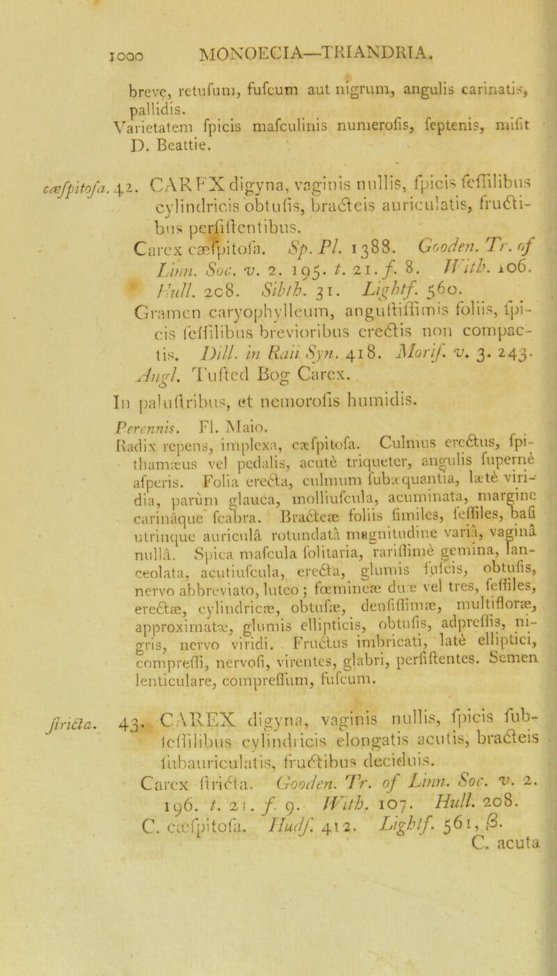 [ ooo M0N0ECIA—T RIANDRT A. breve, retufum, fufeum aut nigrum, angulis carinatis, pallidis. Varietatem fpicis mafculinis numerous, feptenis, rnifit D. Beattie. c&fpitofa. 42. CARFX digyna, vaginis nullis, fpicis fefdlibus cylindricis obtubs, bracleis auriculatis, frudli- bus pcriiilcntibus. Carex cseipitofa. Sp. Pi. 1388. Gooden. Tr. of Linn. Soc. v. 2. 195. t.ii.f. 8. Tilth. 106. Hull. 2cS. Sib/h. 31. Lightf: 560. Grainen caryophylleum, anguttiffimis foliis, tpi- cis feffilibus brevioribus credtis nnn compac- tis. Dili in Rail Syn. 418. Morif. v. 3. 243. Jugl. Tufted Bog Carex. In palutlfilms, ct nemorofis humidis. Percnnis. FI. Main. _ Radix repens, implexa, cxfpitofa. Culmus ercdtus, fpi- thamreus vel pedalis, acute triquetcr, angulis fuperne afperis. Folia eredta, culraum fubxquantia, lsete viri-' dia, parum glauca, molliufcula, acuminata, marginc carinaque fcaora. Bracteae foliis fimiles, leffiles, bafi utrinquc auricula rotundata magnitudine vaiia, vagina nulla. Spica mafcula folitavia, rarifiimd gemma, Ian- ceolata, acutiulcula, eredka, glumis fpicis, obtuiis, nervo abbreviate, lutco ; feeminere du e vel tres, fefiiles, ere&ae, cylindricce, obtufae, denfiflimae, multiflorae, approximate, glumis ellipticis, obtuiis, ad p re ill 3, ni- gris, nervo viridi. Frudtus imbricati, late elliptici, comp refill, nervofi, virentes, glabri, periifientes. Semen lenticulare, comprefium, fufeum. jintla. 43. CAREX digyna, vaginis nullis, fpicis fula- ic ffi lib us cylindricis elongatis acutis, bradleis lubauriculatis, frudtibus deciduis. Carex ftridta. Gooden. Tr. of Linn. Soc. v. 1. 196. t. 2i./. 9. With. 107. Hull. 208. C. Ccofpitofa. Iludf. 412. Light/. 561, d- C„ acuta