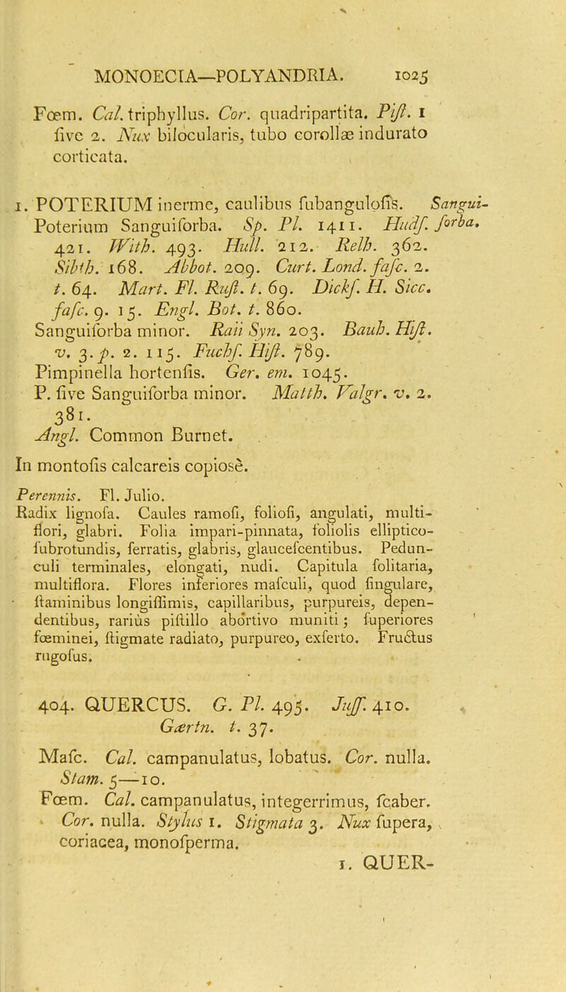 Foem. Cal. triphyllus. Cor. quadripartita. Pi/l. 1 five 2. Nux bilocularisj tubo corollas indurato cortieata. 1. POTERIUM inerme, caulibus fubangulofis. Sangul Poterium Sanguiforba. Sj>. PL 1411. Hudf. Jorba, 421. With. 493* Hull. 112. Relh. 362. Sibth. 168. Abbot. 209. Curt. Lond. fafe. 2. t. 64. Mart. FI. Rujl. t. 69. Dick/. Id. Sicc. fafe. 9. 15. Engl. Bot. t. 860. Sanguiforba minor. Rail Syn. 203. Bauh.HiJl. v. 3.7*. 2. 115. Fuchf.HiJl. 789. Pimpinella hortenfis. G<?r. m. 1045. P. five Sanguiforba minor. Matth. Valgr. v. 2. 3Sl- Common Burnet. In montofis calcareis copiose. Perennis. FI. Julio. Radix lignofa. Caules ramofi, foliofi, angulati, multi- flori, glabri. Folia impari-pinnata, foliolis elliptico- fubrotundis, ferratis, glabris, glaucefcentibus. Pedun- culi terminales, elongati, nudi. Capitula folitaria, multiflora. Flores inferiores mafeuli, quod fingulare, ftaminibus longiffimis, capillaribus, purpureis, depen- dentibus, rarius piftillo abortivo muniti; luperiores foeminei, ftigmate radiato_, purpureo, exferto. Fru6tus rugofus. 404. QUERCUS. G. PL 495. Jujf. 410. Gcertn. t. 37. Mafc. Cal. campanulatus, lobatus. Cor. nulla. Slam. 5—-10. Foem. Cal. campanulatus, integerrimus, fcaber. Cor. nulla. Stylus 1. Stigmata 3. Nux fupera, coriacea, monofperma. 1. QUER-