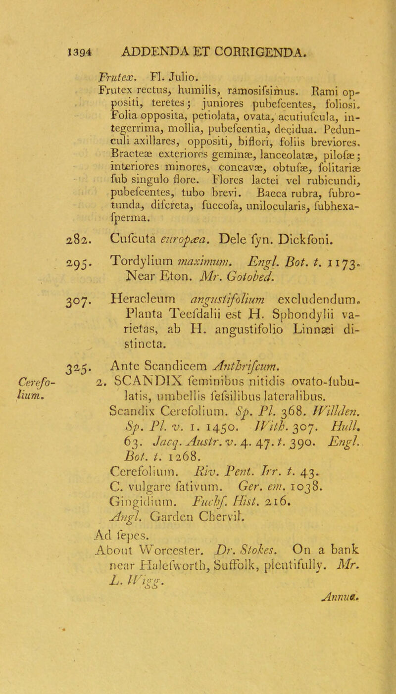 Frutex. FI. Julio. Frutex rectus, humilis, ramosifsimus. Rami op- positi, teretes; juniores pubefcentes, foliosi. Folia opposita, petiolata, ovata, acutiulcula, in- tegerrima, mollia, pubefcentia, decidua. Pedun- culi axillares, oppositi, biflori, foliis brcviores. Bracteae exteriores geminae, lanceolatse, pilol'ae; interiores minores, concavce, obtufae, folitariae fub singulo fiore. Flores lactei vel rubicundi, pubefcentes, tubo brevi. Baeca rubra, fubro- tunda, difcreta, fuccofa, unilocularis, lubhexa- fperma. 282. Cufcuta europrea. Dele fyn. Dickfoni. 295. Tordylium maximum. Engl. Bot. t. 1173. Near Eton. Mr. GoiobeJ. 307. Heracleum angustifolium excludendum. Planta Teefdalii est H. Sphondylii va- riefns, ab H. angustifolio Linnaei di- stincta. 325. Ante Scan dice m Anthrifcum. 2. SCANDIX feminibus nitidis ovato-fubu- latis, umbellis fefsilibus lateralibns. Scandix Cercfolium. Sp. PI. 368. Will Jen. Sp. PI. v. 1. 1450. With. $07. Hull. 63. Jacq. Austr. v. 4. 47. t. 390. Engl. Bot. t. 1268. Cerefoliuin. Riv. Pent. Irr. t. 43. C. vulgarc fativum. Ger. em. 1038. Gingidimn. Fuchf. Hist. 216. Angl. Garden Chervil. Ad fepes. About Worcester. Dr. Stokes. On a bank near Halefworth, Suffolk, plentifully. Mr. L. Wire. Annua.