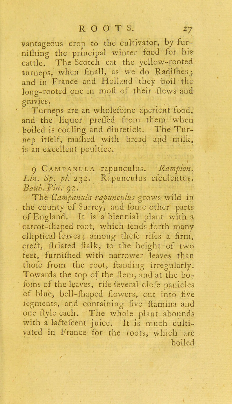 vantageous crop to the cultivator, by fur- nilhing the principal winter food for his cattle. The Scotch eat the yellow-rooted turneps, when finall, as we do Radi flies j and in France and Holland they boil the long-rooted one in moll of their flews and gravies. Turneps are an wholefome aperient food, and the liquor prefled from them when boiled is cooling and diuretick. The Tur- nep itfelf, mafhed with bread and milk, is an excellent poultice. 1 9 Campanula rapunculus. Rampion. Lm. Sp. pi. 232. Rapunculus efculentus. Bauh.Pin. 92. The Campanula rapunculus grows wild in the county of Surrey, and forne other parts of England. It is a biennial plant with a carrot-fhaped root, which fends forth many elliptical leaves; among thefe riles a firm, eredl, llriated flalk, to the height of two feet, furnifhed with narrower leaves than thofe from the root. Handing irregularly. Towards the top of the Hern, and at the bo- foms of the leaves, rife feveral clofe panicles of blue, bell-fhaped flowers, cut into five segments, and containing five flamina and one flyle each. The whole plant abounds with a ladtefcent juice. It is much culti- vated in France for the roots, which are boiled