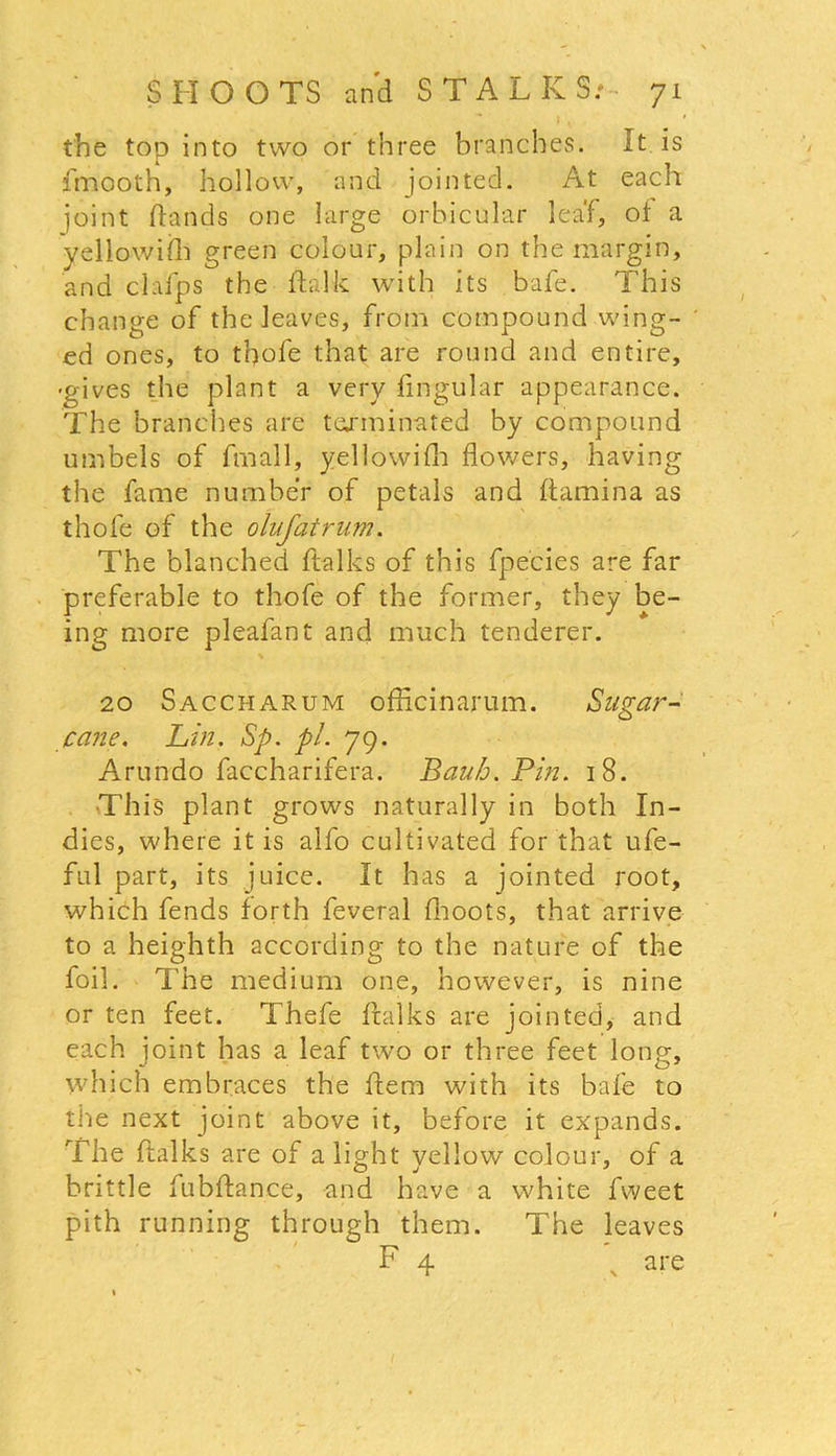 the top into two or three branches. It is fmooth, hollow, and jointed. At each joint hands one large orbicular leaf, oi a yellowiih green colour, plain on the margin, and cla'fps the ftalk with its bafe. This change of the leaves, from compound wing- ed ones, to tbofe that are round and entire, -gives the plant a very fmgular appearance. The branches are terminated by compound umbels of fmall, yellowifh flowers, having the fame number of petals and flamina as thofe of the olufatrum. The blanched (talks of this fpecies are far preferable to thofe of the former, they be- ing more pleafant and much tenderer. 20 Saccharum officinarum. Sugar- cane. Lin. Sp. pi. 79. Artindo faccharifera. Baub. Pin. 18. •This plant grows naturally in both In- dies, where it is alfo cultivated for that ufe- ful part, its juice. It has a jointed root, which fends forth feveral (hoots, that arrive to a heighth according to the nature of the foil. The medium one, however, is nine or ten feet. Thefe (talks are jointed, and each joint has a leaf two or three feet long, which embraces the (tern with its bafe to the next joint above it, before it expands. The ftalks are of a light yellow colour, of a brittle fubftance, and have a white fweet pith running through them. The leaves F 4 N are