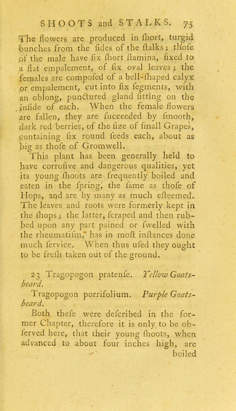 The flowers are produced in fhort, turgid ■bunches from the fides of the ftalks; th'ofe of the male have fix fhort fiamina, fixed to a flat empalement, of fix oval leaves; the females are compofed of a bell-fhaped calyx or empalement, cut into fix fegments, with an oblong, pundured gland fitting on the infide of each. When the female flowers are fallen, they are fucceeded by fmooth, dark red berries, of the-fize of fmall Grapes, containing fix round feeds each, about as big as thofe of Gromwell. This plant has been generally held to have corrofive and dangerous qualities, yet its young fhoots are frequently boiled and eaten in the fpring, the fame as thofe of Hops, and are by many as much efleemed. The leaves and roots were formerly kept in the (hops; the latter, fcraped and then rub- bed upon any part pained or fwelled with the rheumatifm, has in mofl instances done much fervice. When thus ufed they ought to be frefli taken out of the ground. 23 Tragopogon pratenfe. Tellow Goats- beard. Tragopogon porrifolium. Purple Goats- beard. Both thefe were defcribed in the for- mer Chapter, therefore it is only to be ob- ferved here, that their young (hoots, when advanced to about four inches high, are -N boiled