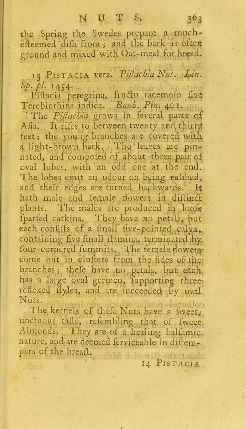 the Spring the Swedes prepare a much- efteemed difh from ; and .the bark is often ground and mixed with Oat-meal for bread. 13 Pistacia vera'. Pijiachia Nut. bin« Sp.pl. 1454.. Piftacia peregrina, fru&u racemofo five Terebinthina indica. Bauh. Pm. 401.. ' The Pijiachia grows in feveral parts' of Aha. It rijes to between twenty andr thirty feet; the young branches are povered with a light-brown bark. The leaves axe pin- nated, ancf compoted of about -three pair, of oval lobes, with an odd one at the end. The lobes erupt an odour on, being r-uhbed, and their edges are turned backwards. It hath male and female flowers in diflindt plants. The males are produced in loofe fparfed catkins. They have no petals, but each confifts. of a fmall five-pointed, calyx, containing five fmall fiamina, terminated by, four-cornered furpmjts. The fernale flow,ers- corne out in, clufters from the fife's of the: branches; thefe have no petals, but, each has a large oval germ’en, lupporting three refiexed ftyles, and are Succeeded by oval Nuts. The kernels of thefe Nuts have a fvveet, unctuous tafie, refembling that of Tweet Almonds. They are of a healing balfamic nature, and-are deemed ferviceable in difiem- pers of the breaft. 14 Pistacia