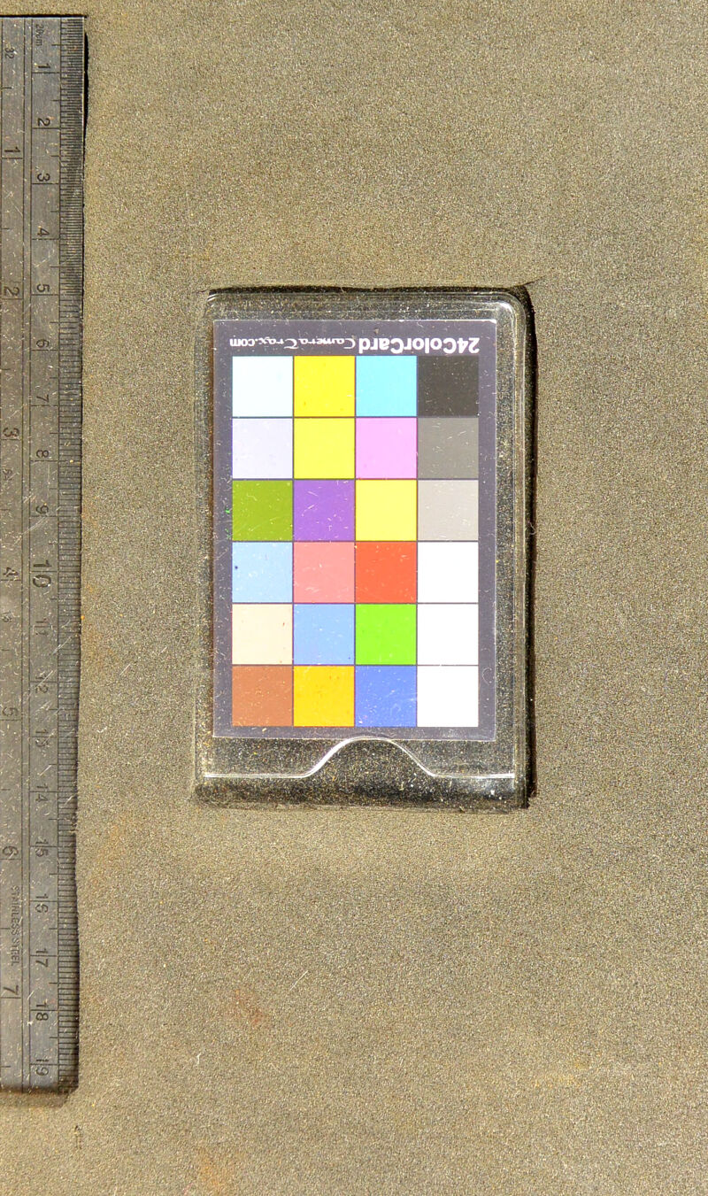 mam