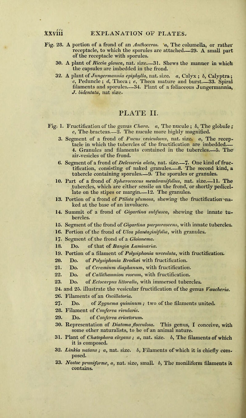 XXVlii EXPLANATION OF PLATES. Fig. 28. A portion of a frond of an Anthoceros. a, The columella, or rather receptacle, to which the sporules are attached.—29. A small part o'f the receptacle with sporules. 30. A plant of Riccia glauca, nat. size.—31. Shews the manner in which the capsules are imbedded in the frond. 32. A plant of Jungermannia epipliylla, nat. size, a, Calyx ; b, Calyptra ; c, Peduncle; d, Theca; e. Theca mature and burst 33. Spiral filaments and sporules—34. Plant of a foliaceous Jungermannia, J. bidentata, nat size. PLATE II. Fig. 1. Fructification of the genus Clwra. a, The nucule ; 5, The globule; c, The bracteas 2. The nucule more highly magnified. 3. Segment of a frond of Fucrn vesiculosus, nat. size, a, The recep- tacle in which the tubercles of the fructification are imbedded.— 4. Granules and filaments contained in the tubercles 5. The air-vesicles of the frond. 6. Segment of a frond of Delesseria alata, nat. size.—7. One kind of fruc- tification, consisting of naked granules 8. The second kind, a tubercle containing sporules—9. The sporules or granules. 10. Part of a frond of Sphcerococcus membranifolius, nat. size 11. The tubercles, which are either sessile on the frond, or shortly pedicel- late on the stipes or margin—12. The granules. 13. Portion of a frond of Ptilota plumosa, shewing the fructification 'na- ked at the base of an involucre. 14. Summit of a frond of Gigartina subfusca, shewing the innate tu- bercles. 15. Segment of the frond of Gigartina purpurascens, with innate tubercles. 16. Portion of the frond of Ulva plantaginifolia, with granules. 17- Segment of the frond of a Gloionema. 18. Do. of that of Bangia Laminarias. 19. Portion of a filament of Polysiphonia urceolala, with fructification. 20. Do. of Polysiphonia Brodicei with fructification. 21. Do. of Ceramium diaphanum, with fructification. 22. Do. of Callithamnion roseum, with fructification. 23. Do. of Ectocarpus littoralis, with immersed tubercles. 24. and 25. illustrate the vesicular fructification of the genus Vaucheria. 26. Filaments of an Oscillatoria. 27- Do. of Zygnema quininum ; two of the filaments united. 28. Filament of Conferva rivularis. 29. Do. of Conferva ericetorum. 30. Representation of Diatomaflocculosa. This genus, I conceive, with some other naturalists, to be of an animal nature. 31. Plant of Chaetophora elegans ; a, nat. size, b, The filaments of which it is composed. 32. Linkia natans ; <z, nat. size, b, Filaments of which it is chiefly com- posed. 33. Nostoc praniforme, a, nat. size, small, b, The moniliform filaments it contains.