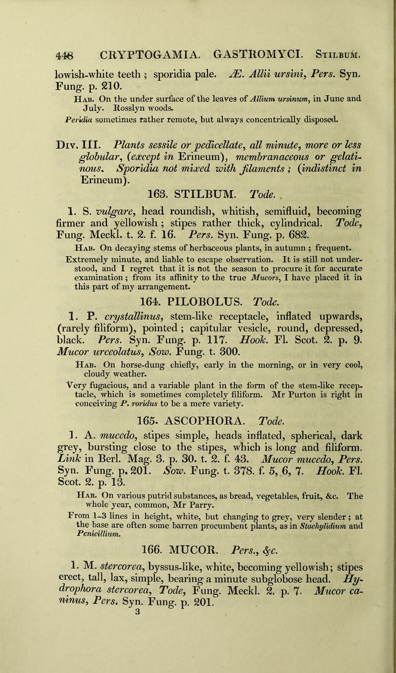lowish-white teeth ; sporidia pale. JE. Allii ursini, Pers. Syn. Fung. p. 210. Hab. On the under surface of the leaves of Allium ursinum, in June and July. Itosslyn woods. Peridia sometimes rather remote, but always concentrically disposed. Dxv. III. Plants sessile or pedicellate, all minute, more or less globular, (except in Erineum), membranaceous or gelati- nous. Sporidia not mixed with filaments ; (indistinct in Erineum). 163. STILBUM. Tode. 1. S. vulgare, head roundish, whitish, semifluid, becoming firmer and yellowish ; stipes rather thick, cylindrical. Tode, Fung. Meckl. t. 2. f. 16. Pers. Syn. Fung, p. 682. Hab. On decaying stems of herbaceous plants, in autumn ; frequent. Extremely minute, and liable to escape observation. It is still not under- stood, and I regret that it is not the season to procure it for accurate examination; from its affinity to the true Mucors, I have placed it in this part of my arrangement. 164. PILOBOLUS. Tode. 1. P. crystallinus, stem-like receptacle, inflated upwards, (rarely filiform), pointed ; capitular vesicle, round, depressed, black. Pers. Syn. Fung. p. 117. Hoo~k. FI. Scot. 2. p. 9- Mucor urceolatus. Sow. Fung. t. 300. Hab. On horse-dung chiefly, early in the morning, or in very cool, cloudy weather. Very fugacious, and a variable plant in the form of the stem-like recep- tacle, which is sometimes completely filiform. Mr Purton is right in conceiving P. roridus to be a mere variety. 165. ASCOPHORA. Tode. 1. A. mucedo, stipes simple, heads inflated, spherical, dark grey, bursting close to the stipes, which is long and filiform. Link in Berl. Mag. 3. p. 30. t. 2. f. 43. Mucor mucedo, Pers. Syn. Fung. p. 201. Sow. Fung. t. 378. f. 5, 6, 7. Hook. FI. Scot. 2. p. 13. Hab. On various putrid substances, as bread, vegetables, fruit, &c. The whole year, common, Mr Parry. From 1-3 lines in height, white, but changing to grey, very slender; at the base are often some barren procumbent plants, as in Stachylidium and Penicillium. 166. MUCOR. Pers., Sfc. 1. M. stercorea, byssus-like, white, becoming yellowish; stipes erect, tall, lax, simple, bearing a minute subglobose head. Hy- drophora stercorea, Tode, Fung. Meckl. 2. p. 7- Mucor ca- ninus, Pers. Syn. Fung. p. 201.