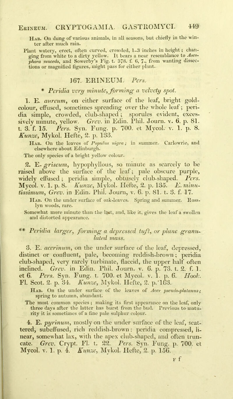 Hab. On dung of various animals, in all seasons, but chiefly in the win- ter after much rain. Plant watery, erect, often curved, crowded, 1-3 inches in height; chan- ging from white to a dirty yellow. It bears a near resemblance to Asco- phora mucedo, and Sowerby’s Fig. t. 378- f. 0, 7-, from wanting dissec- tions or magnified figures, might pass for either plant. 367. ERINEUM. Pers. * Peridia very minute, forming' a velvety spot. 1. E. avreum, on either surface of the leaf, bright gold- colour, effused, sometimes spreading over the whole leaf; peri- dia simple, crowded, club-shaped; sporules evident, exces- sively minute, yellow. Grev. in Edin. Phil. Journ. v. 6. p. 81. t. 3. f. 15. Pers. Syn. Fung. p. 700. et My col. v. 1. p. 8. Kunze, Mykol. Hefte, 2. p. 133. Hab. On the leaves of Poputus nigra; in summer. Carlowrie, and elsewhere about Edinburgh. The only species of a bright yellow colour. 2. E- griseum, hypophyllous, so minute as scarcely to be raised above the surface of the leaf; pale obscure purple, widely effused; peridia simple, obtusely club-shaped. Pers. Mycol. v. 1. p. 8. Kunze, Mykol. Hefte, 2. p. 135. E. minu- tissimum, Grev. in Edin. Phil. Journ, v. 6. p. 81. t. 3. f. -17. Hab. On the under surface of oak-leaves. Spring and summer, lloss- lyn woods, rare. Somewhat more minute than the la#t, and, like it, gives the leaf a swollen and distorted appearance. ** Peridia larger, forming a depressed tuft, or plane granu- lated mass. 3. E. aeerinum, on the under surface of the leaf, depressed, distinct or confluent, pale, becoming reddish-brown; peridia club-shaped, very rarely turbinate, flaccid, the upper half often inclined. Grev. in Edin. Phil. Journ. v. 6. p. 73. t. 2. f. 1. et 6. Peis. Syn. Fung. t. 700. et Mycol. v. 1. p. 6. Hook. FI. Scot. 2. p. 34. Kunze, Mykol. Hefte, 2. p.T63. Hab. On the under surface of the leaves of Acer pseudo-platanus; spring to autumn, abundant. The most common species ; making its first appearance on the leaf, only three days after the latter has burst from the bud. Previous to matu- rity it is sometimes of a fine pale sulphur colour. 4. E. pyrinum, mostly on the under surface of the leaf, scat- tered, subeffused, rich reddish-brown : peridia compressed, li- near, somewhat lax, with the apex club-shaped, and often trun- cate. Grev. Crypt. FI. t. 22. Pers. Syn. Fung. p. 700. et Mycol. v. 1. p. 4. Kunze, Mvkol. Hefte, 2. p. 156. r f
